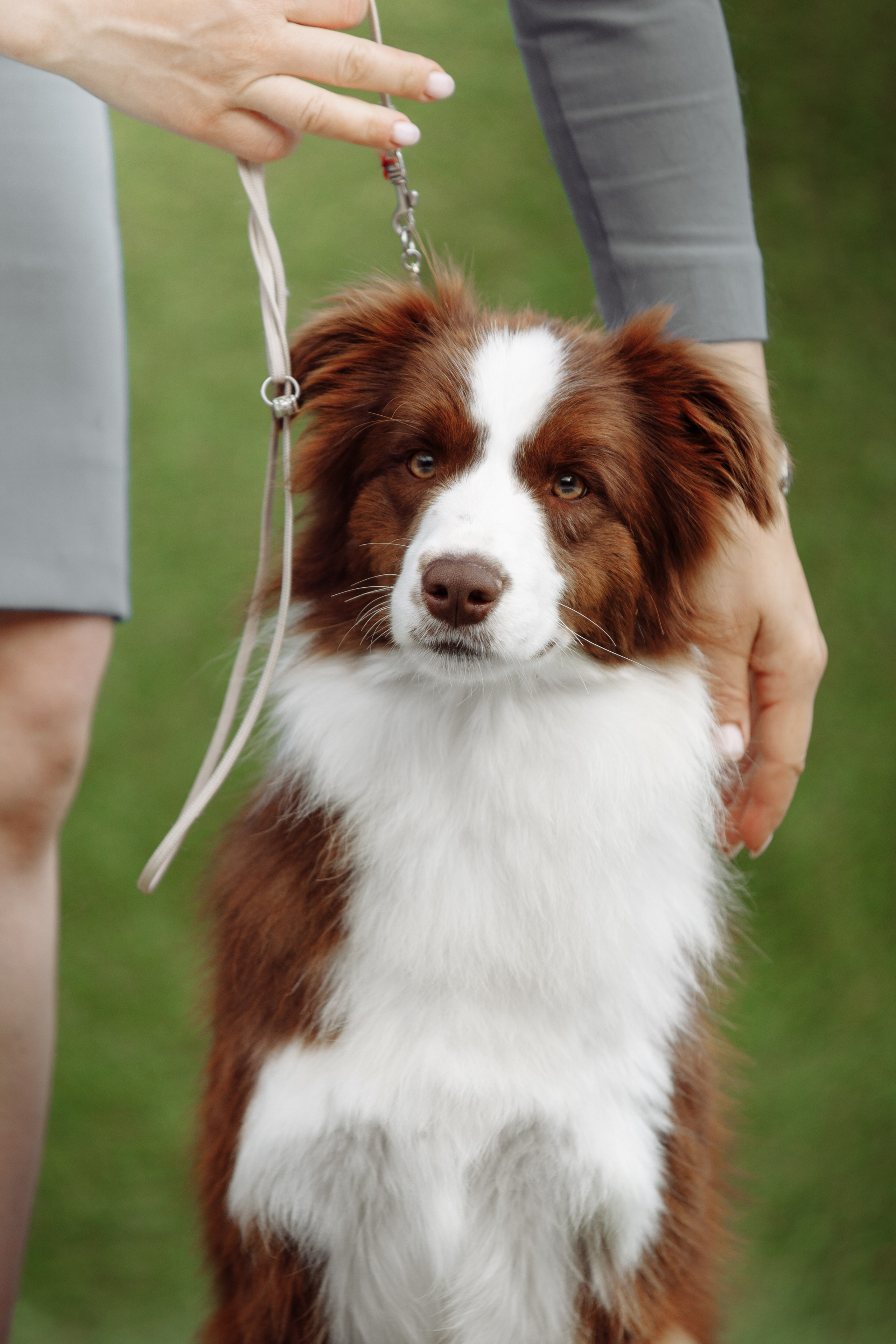 Свое место. О нас
