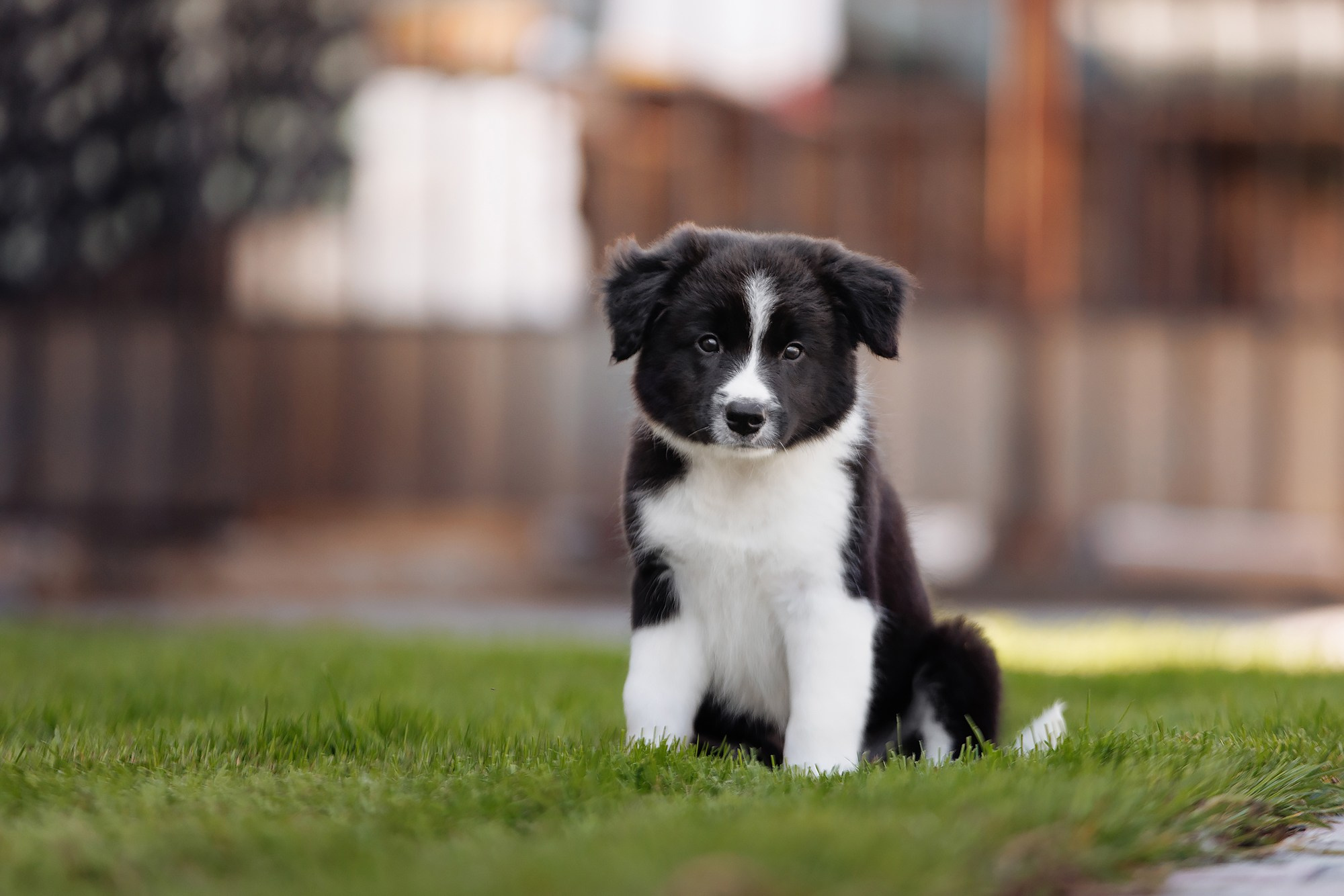 Трава у дома. О нас