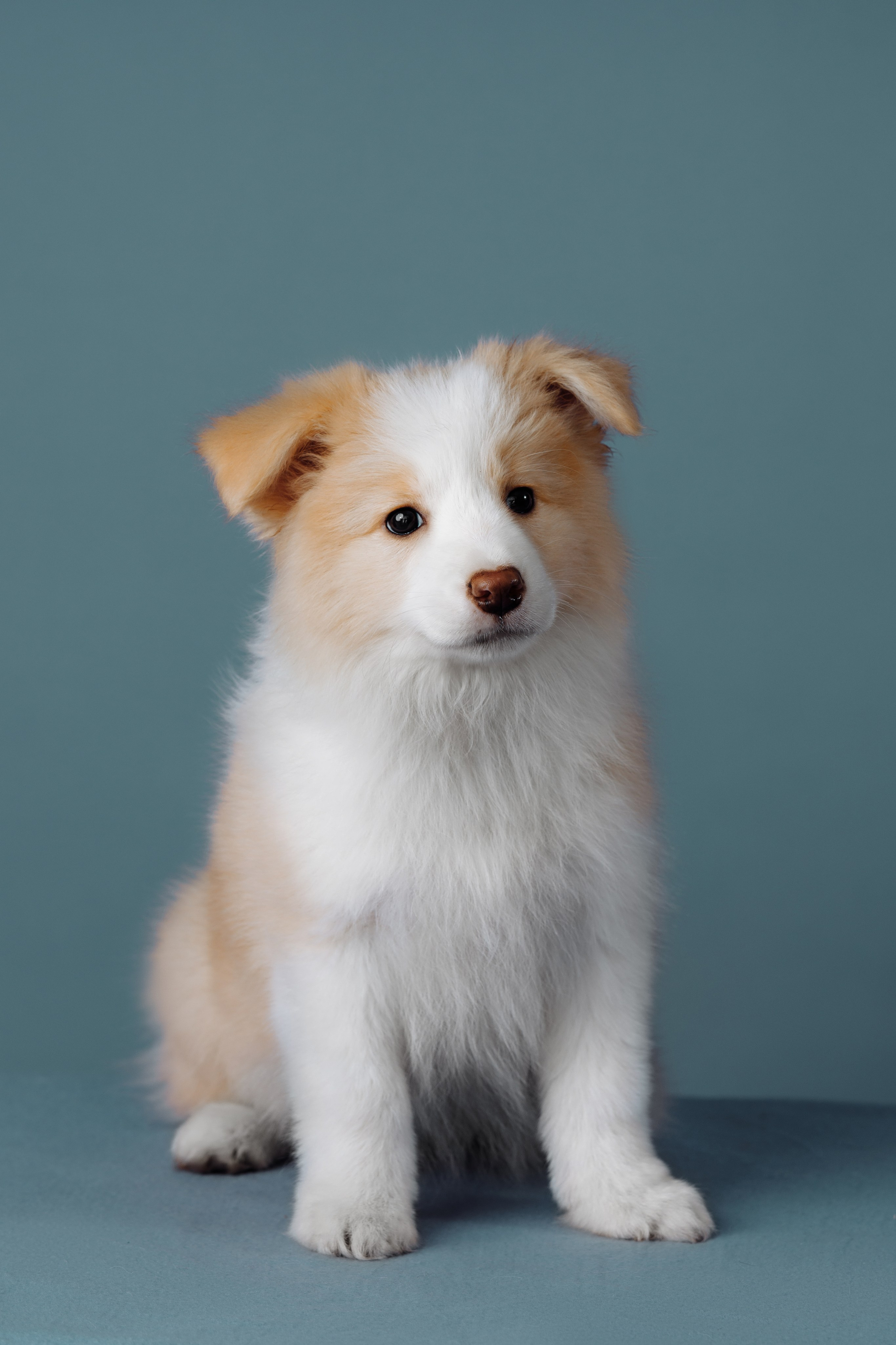 Март. Весна. 22. О нас