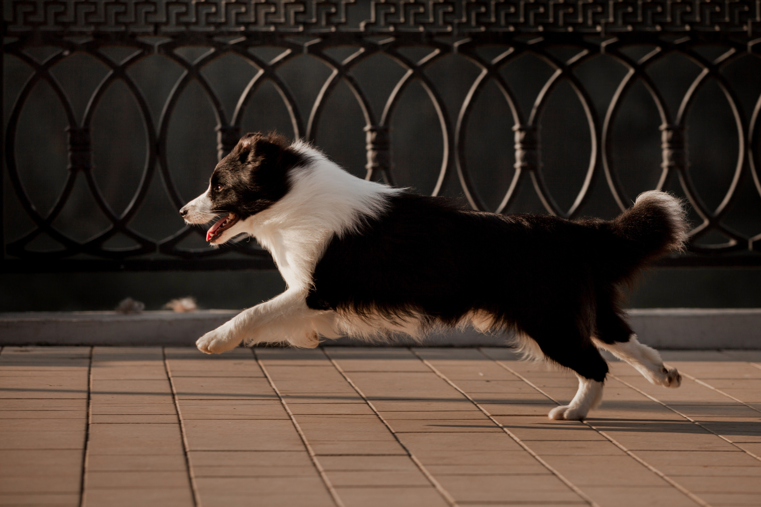 Сочный рассвет, на который решились. О нас