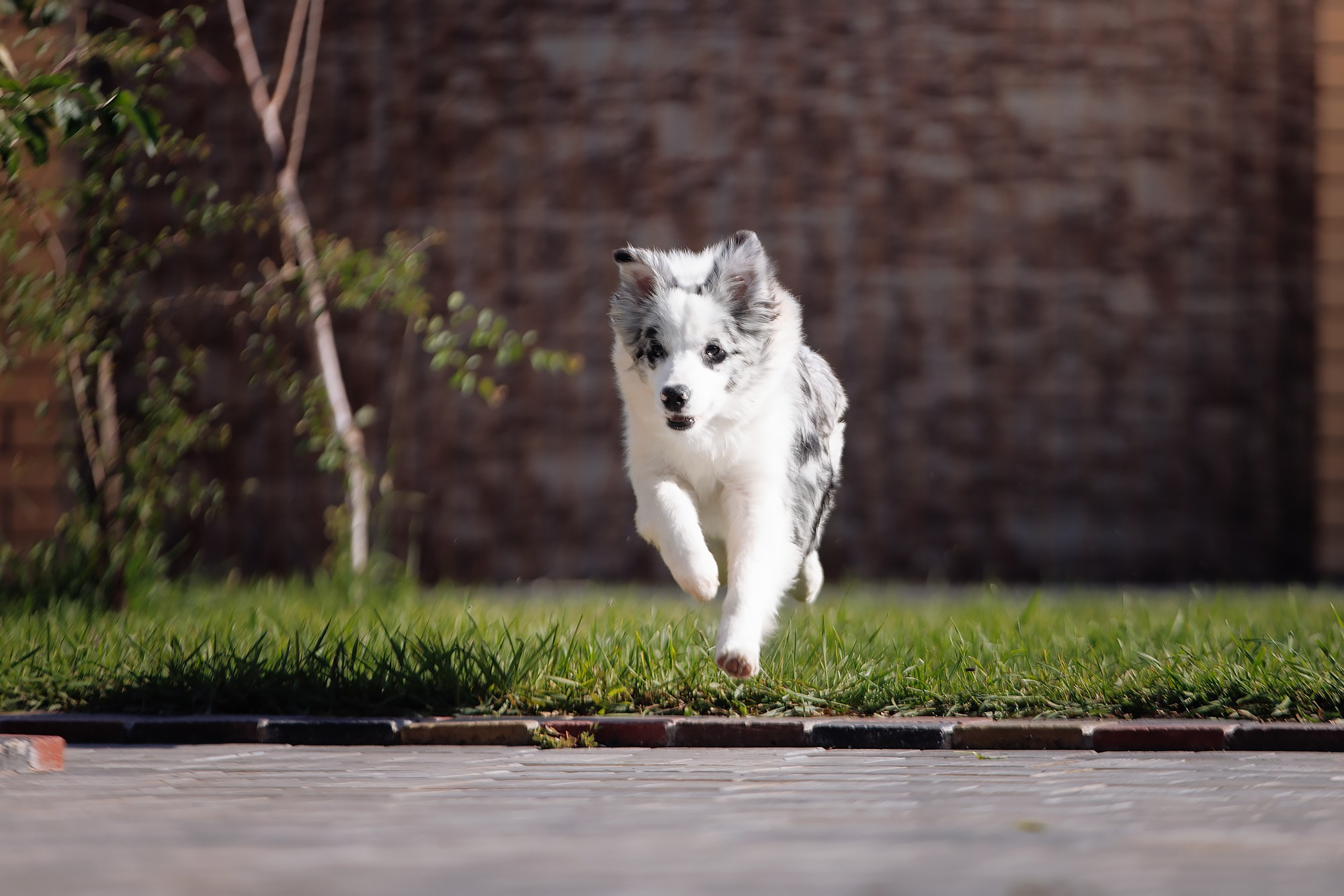 Трава у дома. О нас