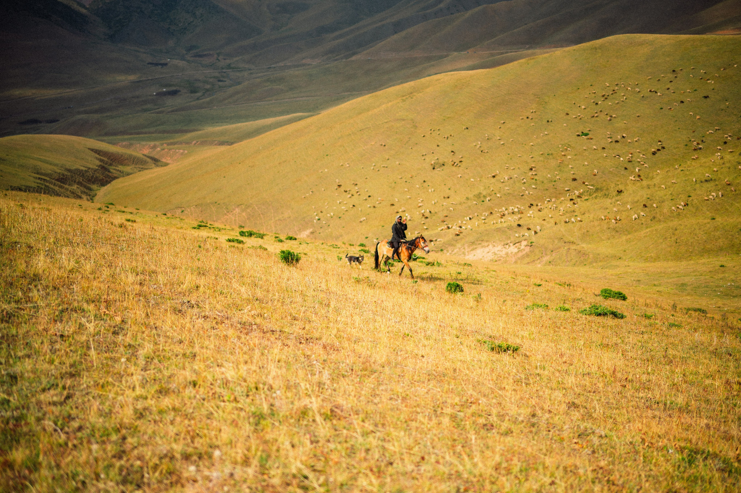 Плато Ассы: июль 2025. Фотограф в Алматы — Дарья Фёдорова