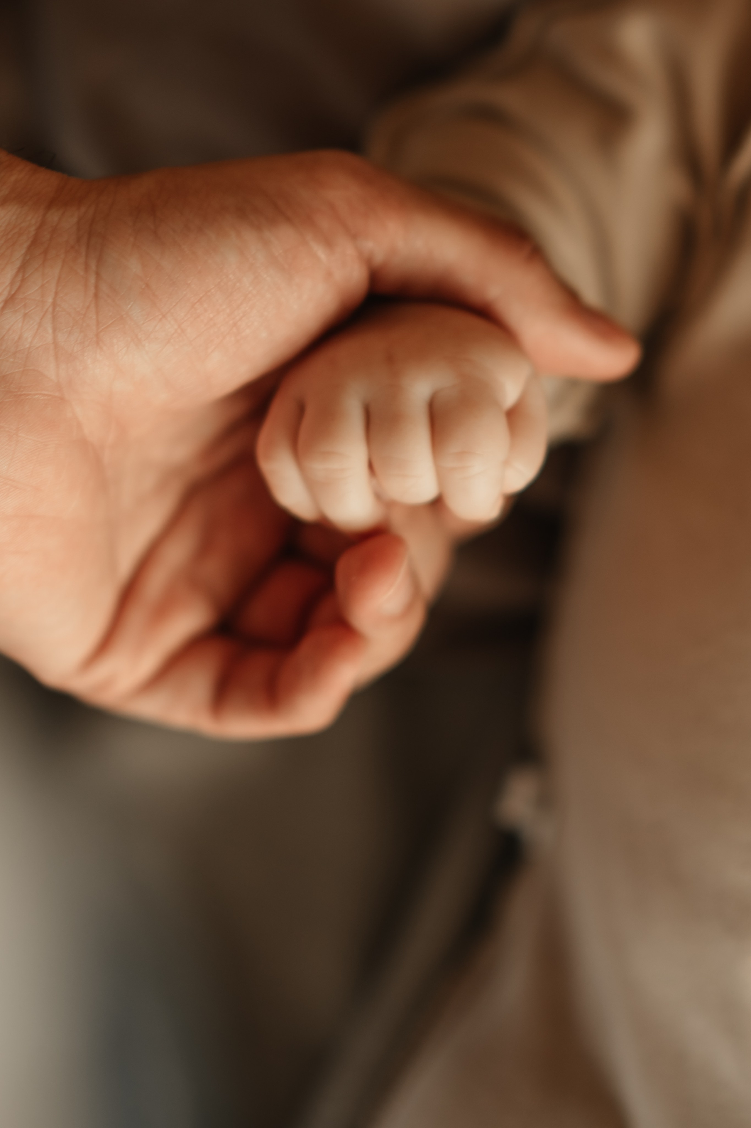 Семейная фотосессия в Крыму. Свадебный и семейный фотограф и видеограф, Крым, Москва, Санкт -Петербург