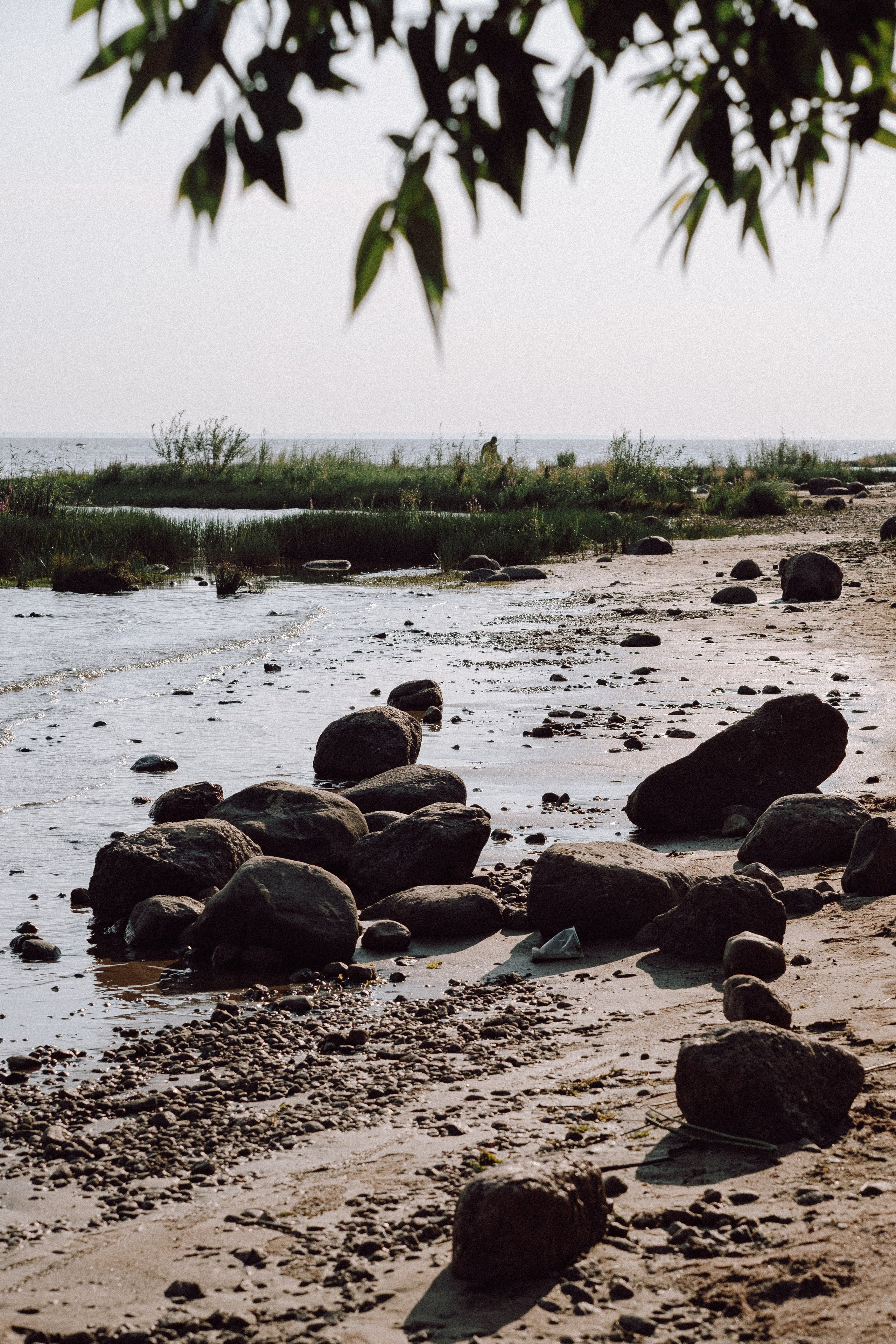 СВАДЕБНАЯ ФОТОСЕССИЯ ВЫЕЗДНОЙ ЦЕРЕМОНИИ (ФИНСКИЙ ЗАЛИВ). Профессиональный фотограф, Санкт-Петербург — Виктория Богомолова