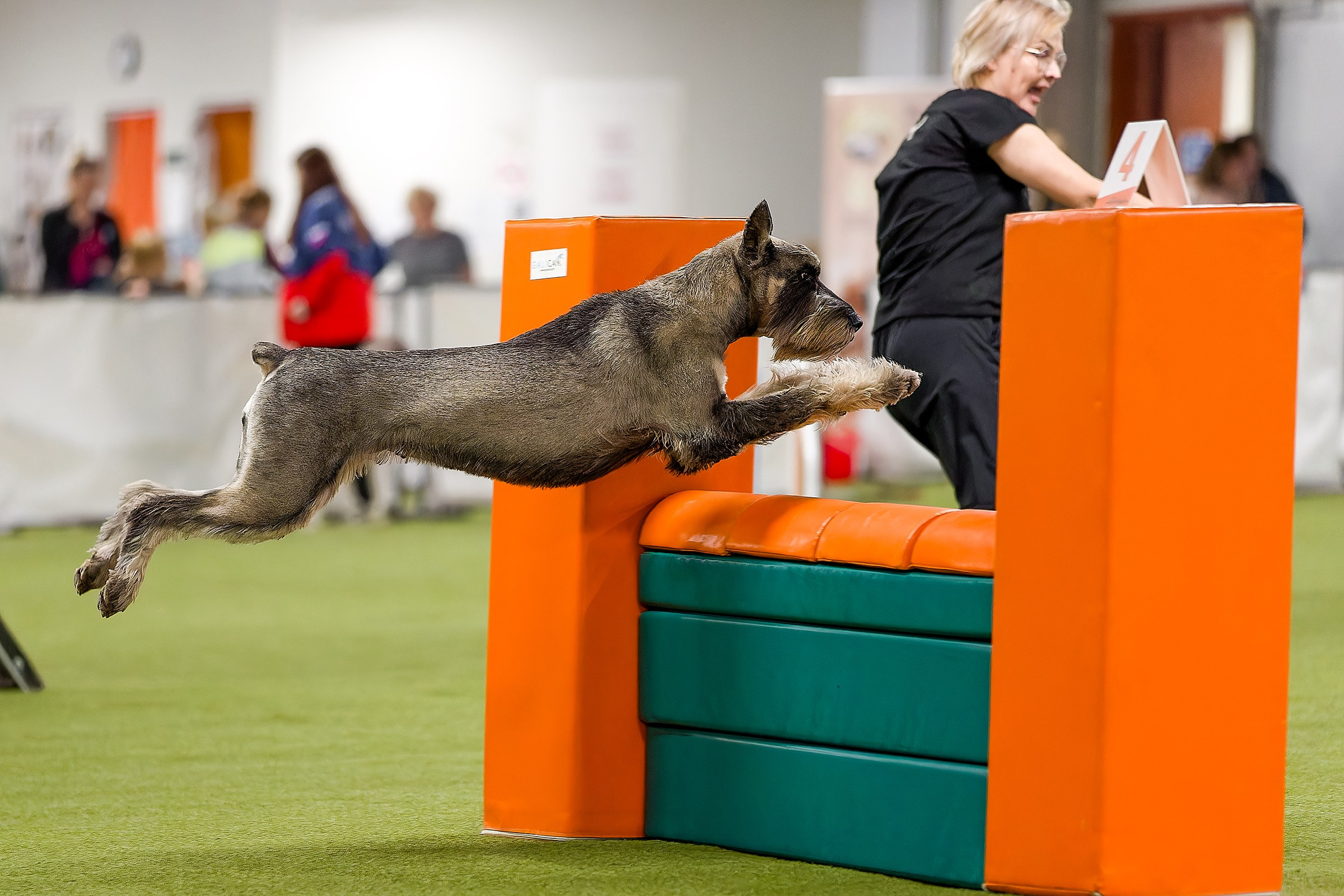 Кубок Пёсбурга 2025. Irenephoto.ru