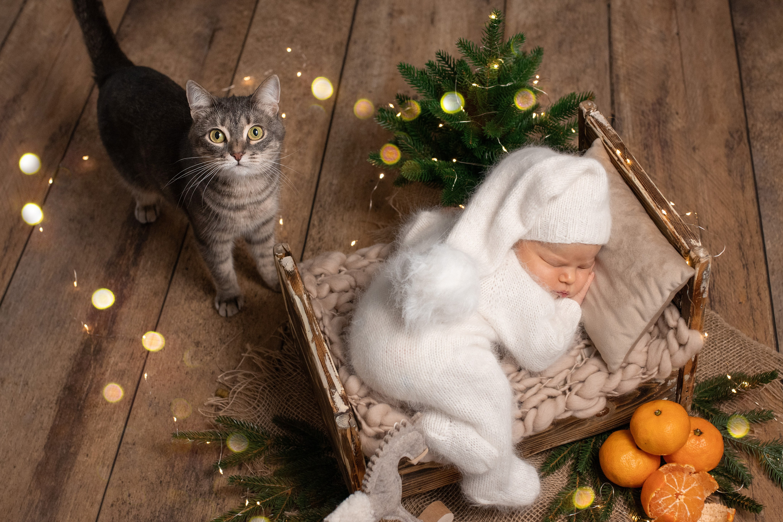 Портфолио. Фотограф новорождённых Волгоград | Волжский — Наталья Самсонова