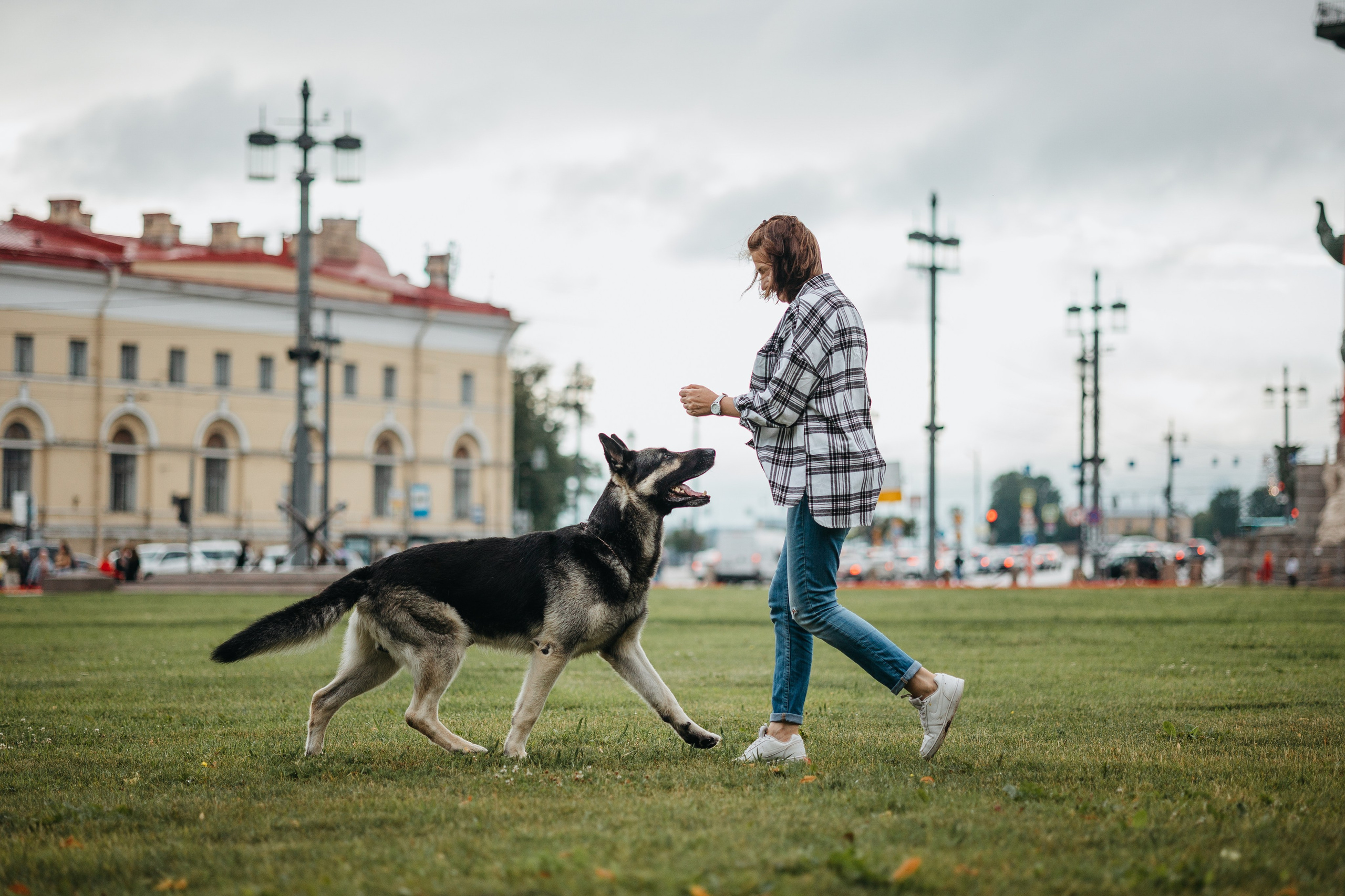 Рей и Ксения. Фотограф — Анималист | Санкт-Петербург