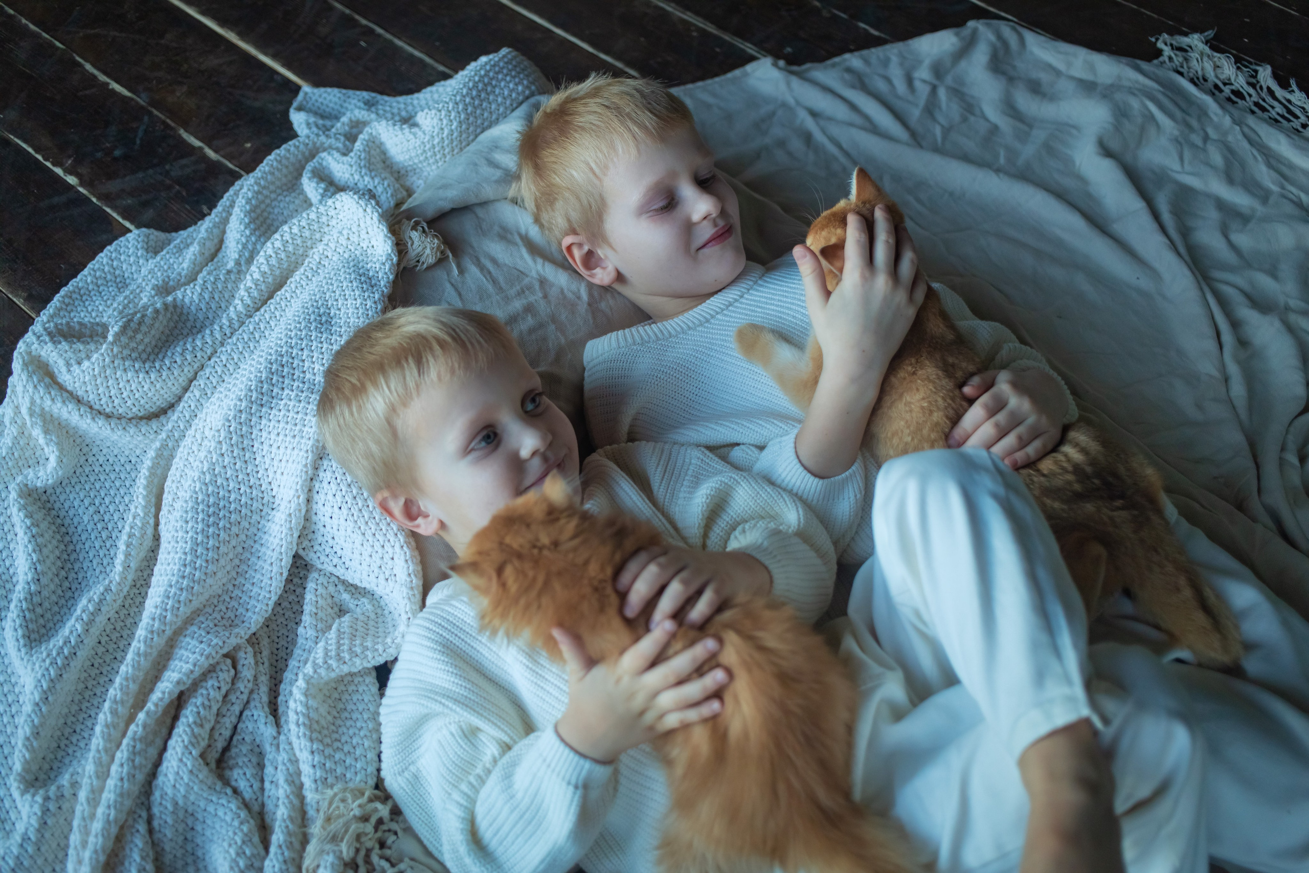 Детская фотосессия с котятками в студии в СПБ