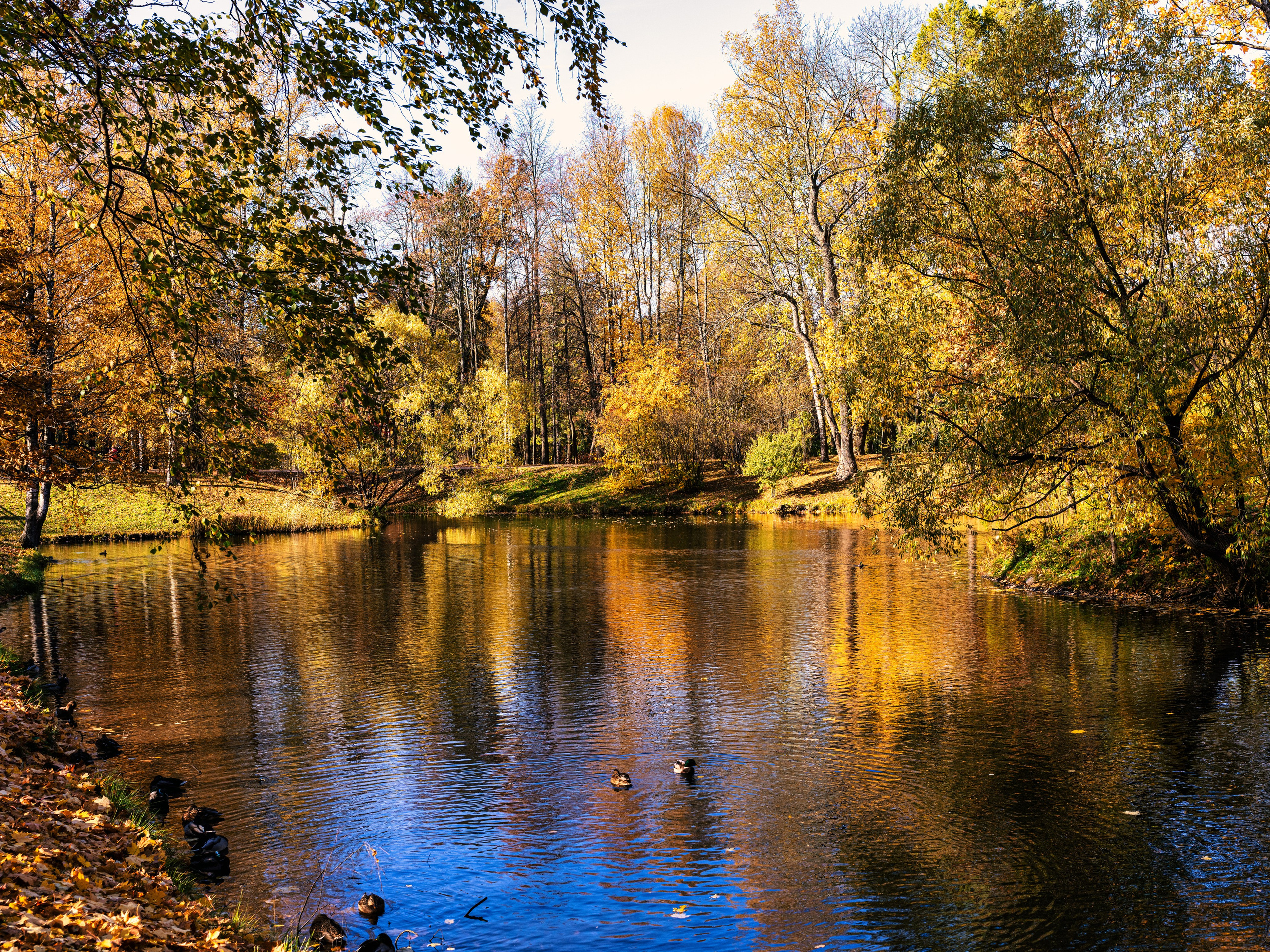 Царское село. Пейзажный и семейный фотограф в Санкт-Петербурге Александр Белов