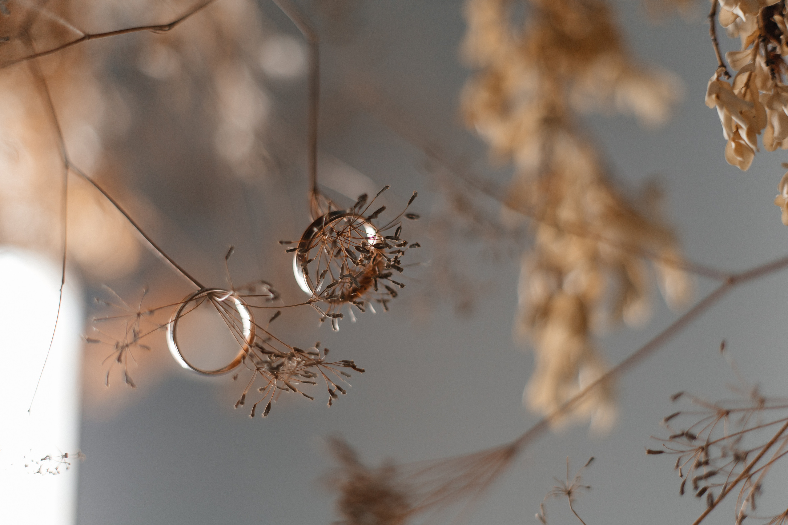 Екатерина и Алексей. Главная