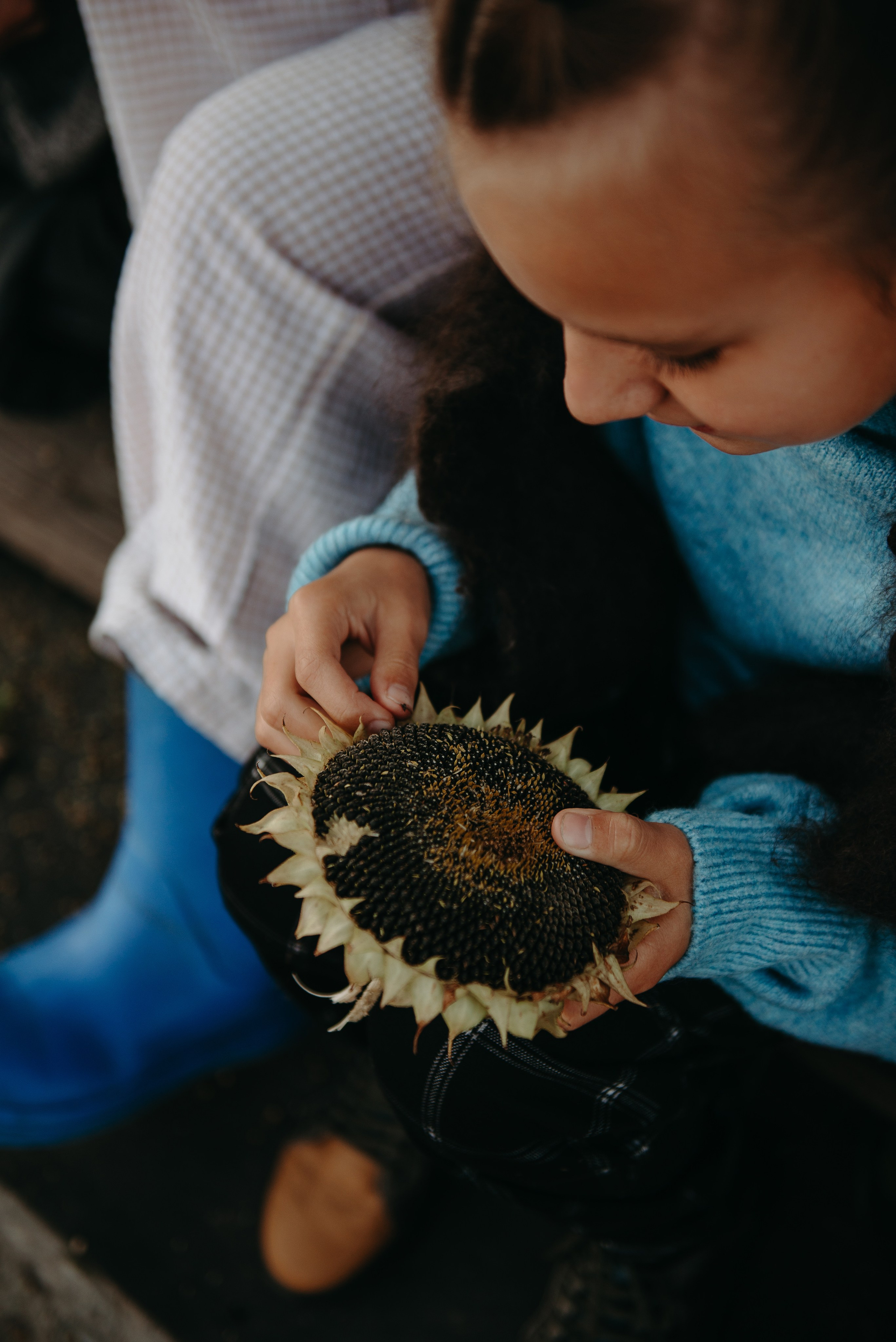 Друзья на даче. Ирина Метелица фотограф на Шикотане