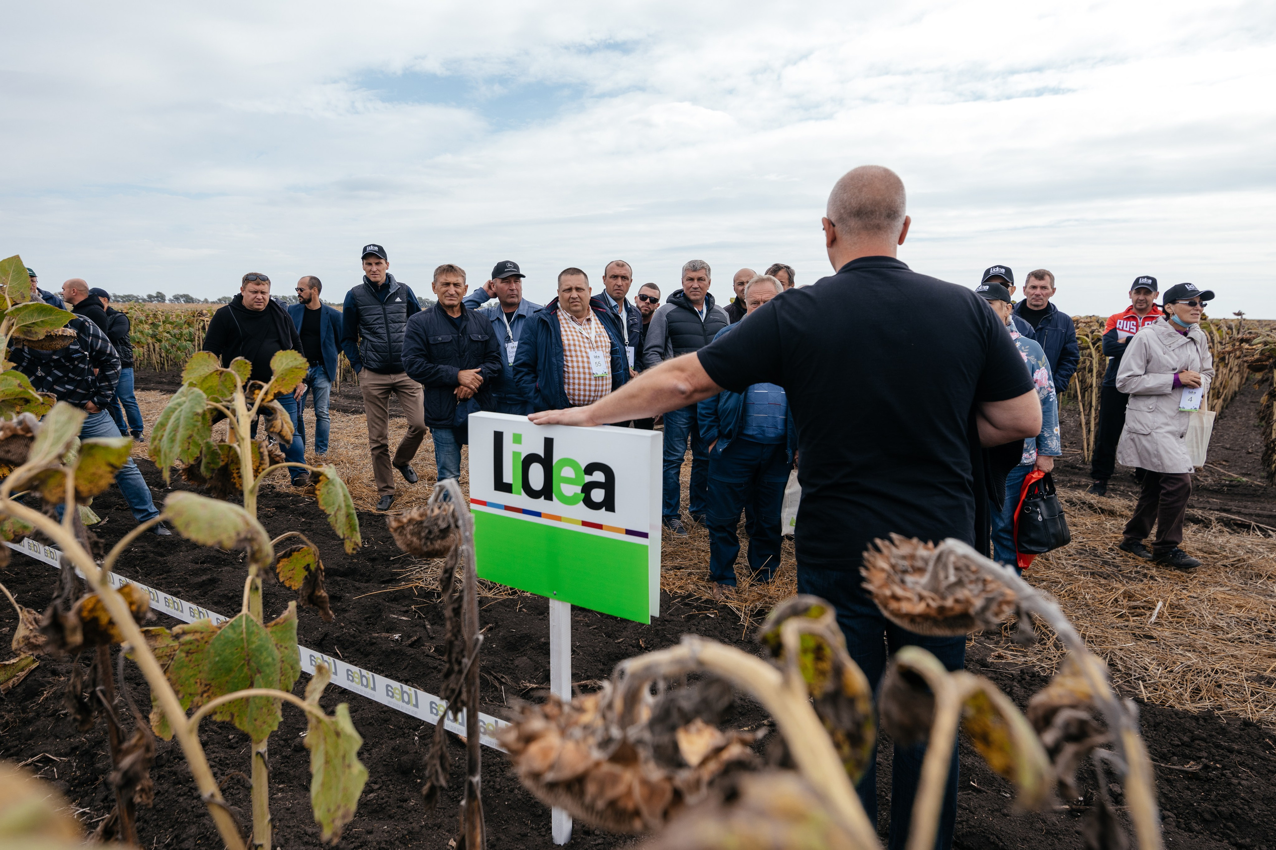 День поля. Фотограф Крохин Олег