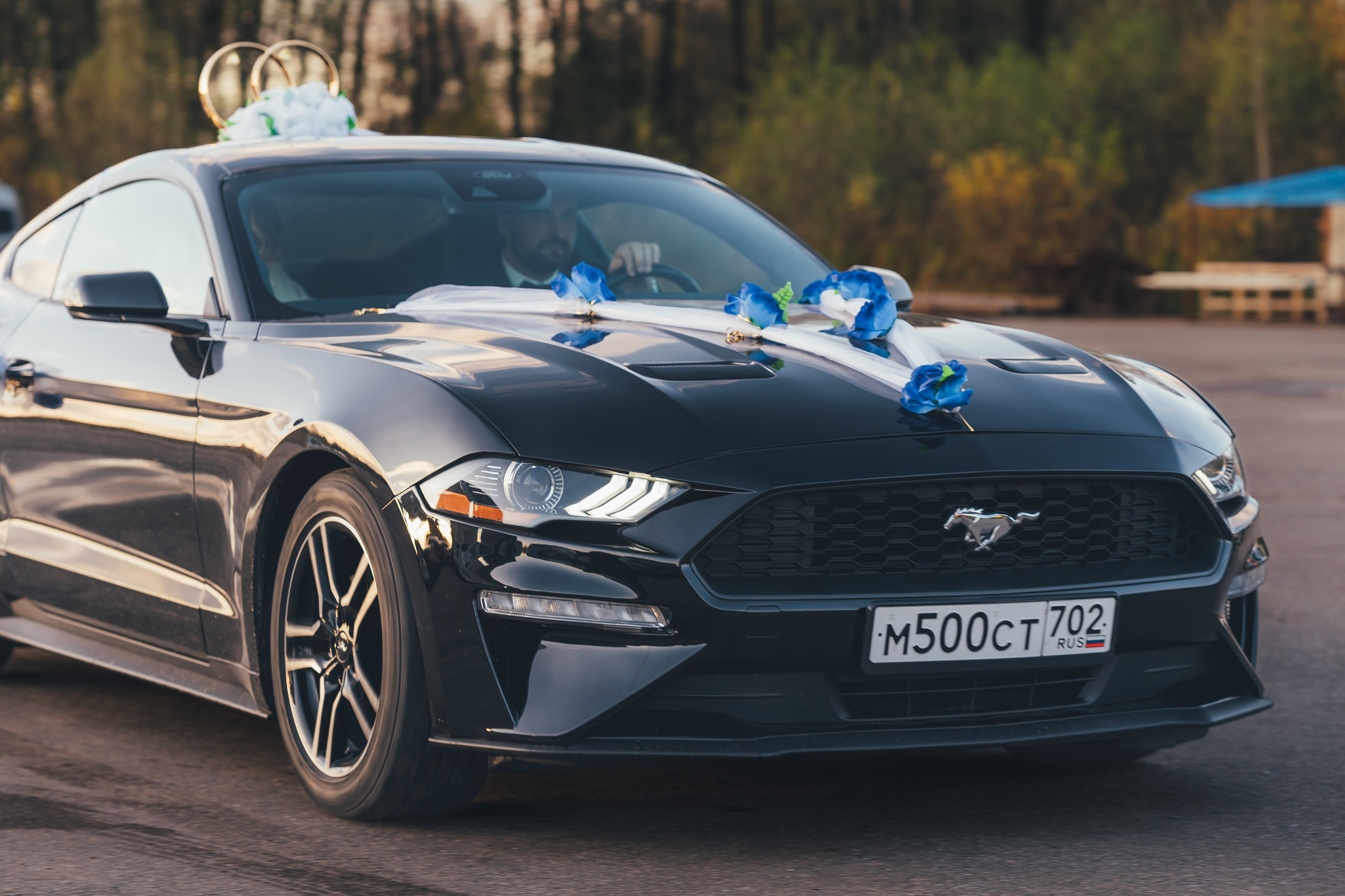 Светлана и Юрий, ЗАГС Щелково, Конно-спортивный комплекс Звёздный. Наталья Дукалова фотограф Щелково Королев Пушкино Москва Балашиха