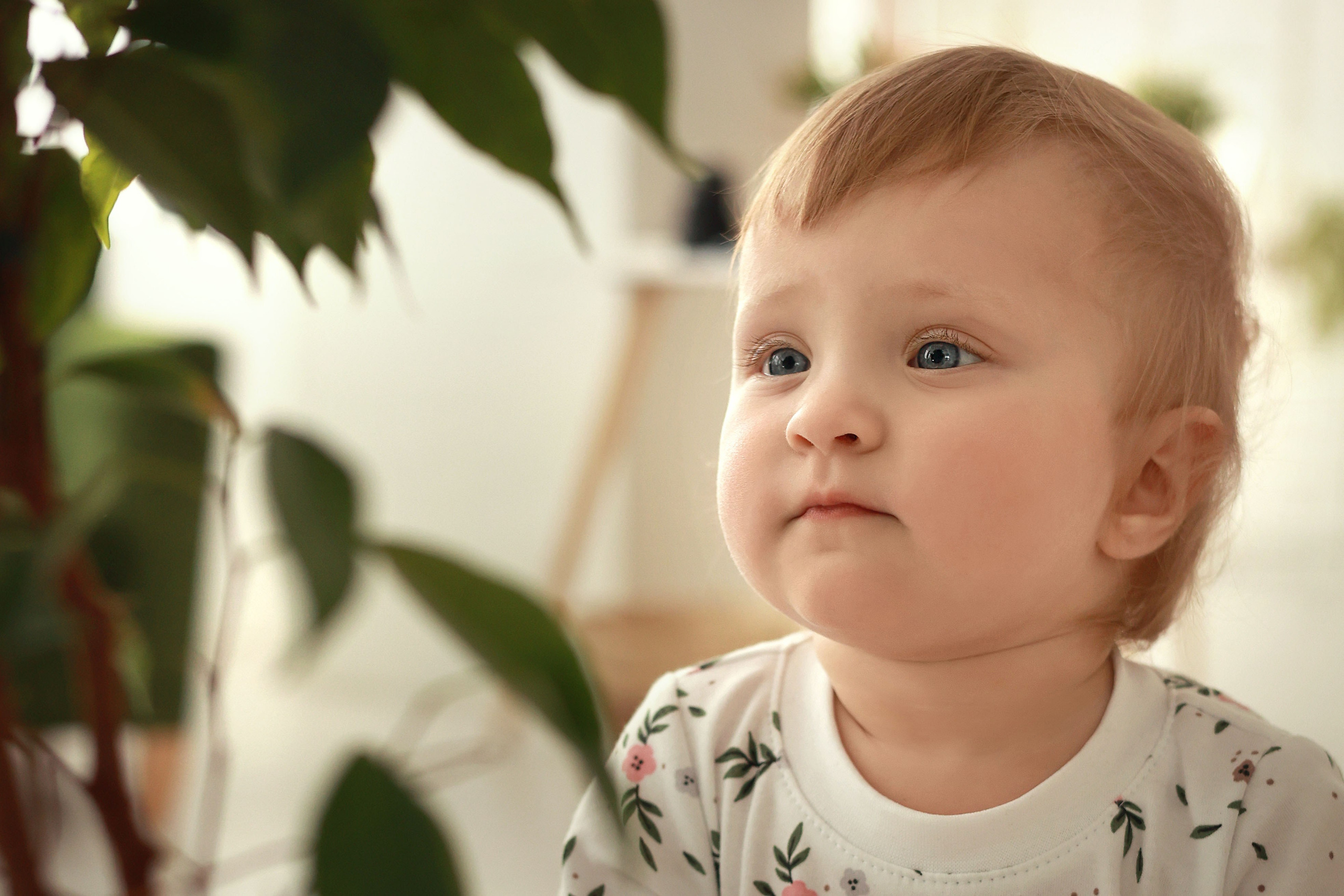 Таечке 1 годик (фотостудия ОКНА). Семейный и детский фотограф в Перми Мария Карабатова