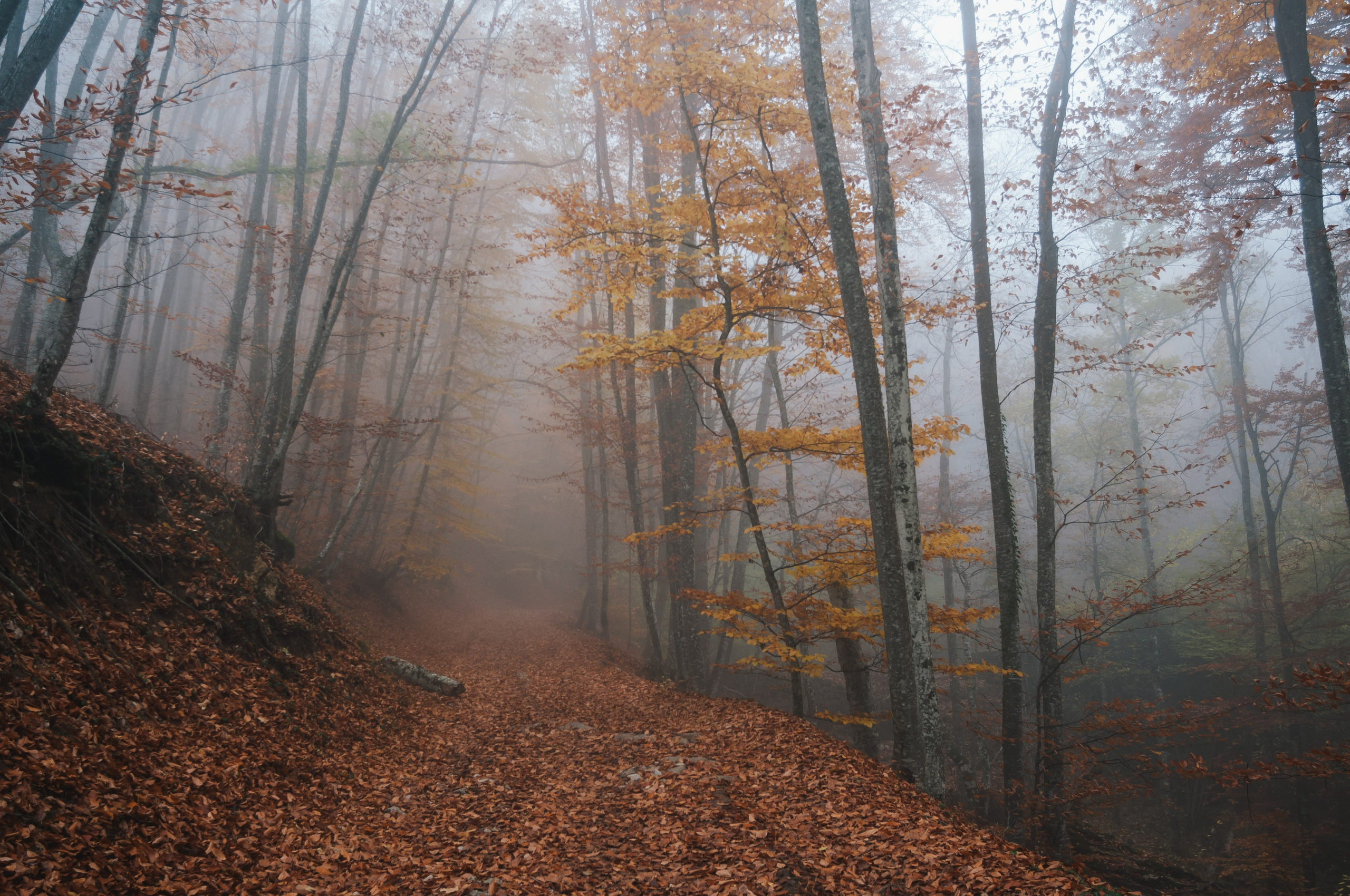 Пейзажи. Дмитрий Шалыгин — Ваш фотограф в Севастополе и Крыму