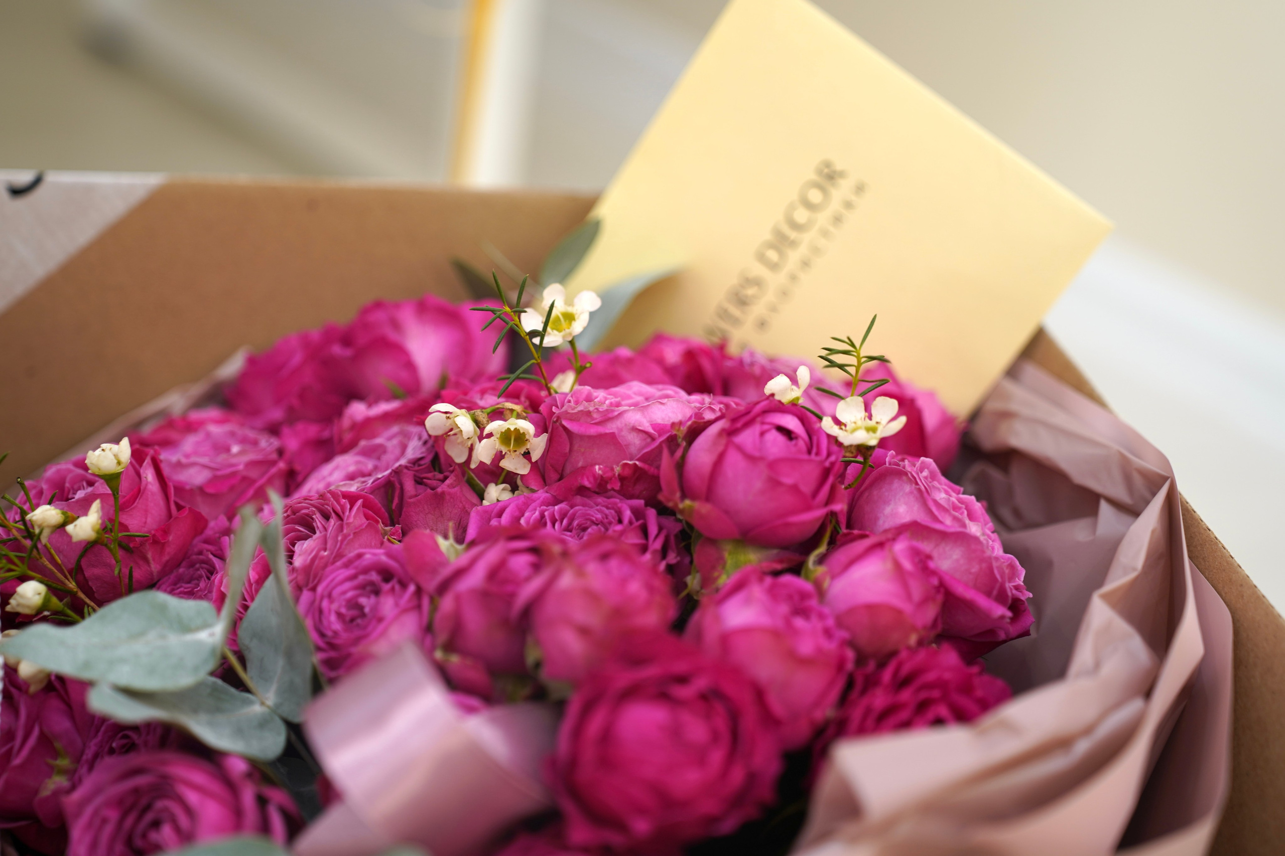 Центр нутрициологии и здорового питания. Фотограф Новороссийск | Геленджик и ЮФО Эльвина Ясинская