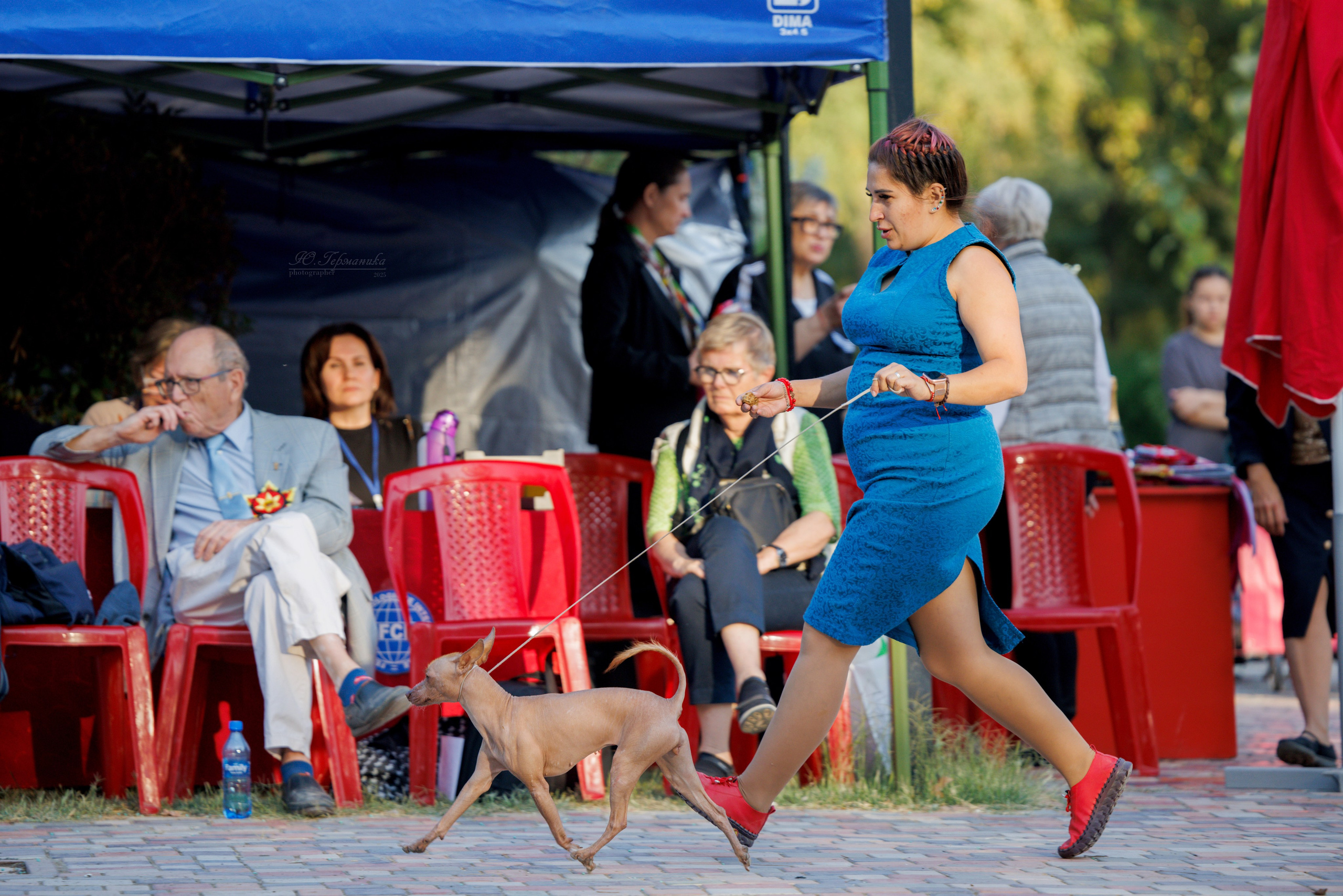 Ташкент 3хCACIB 3-5.10.2025. Фотограф-анималист Юлия Германика