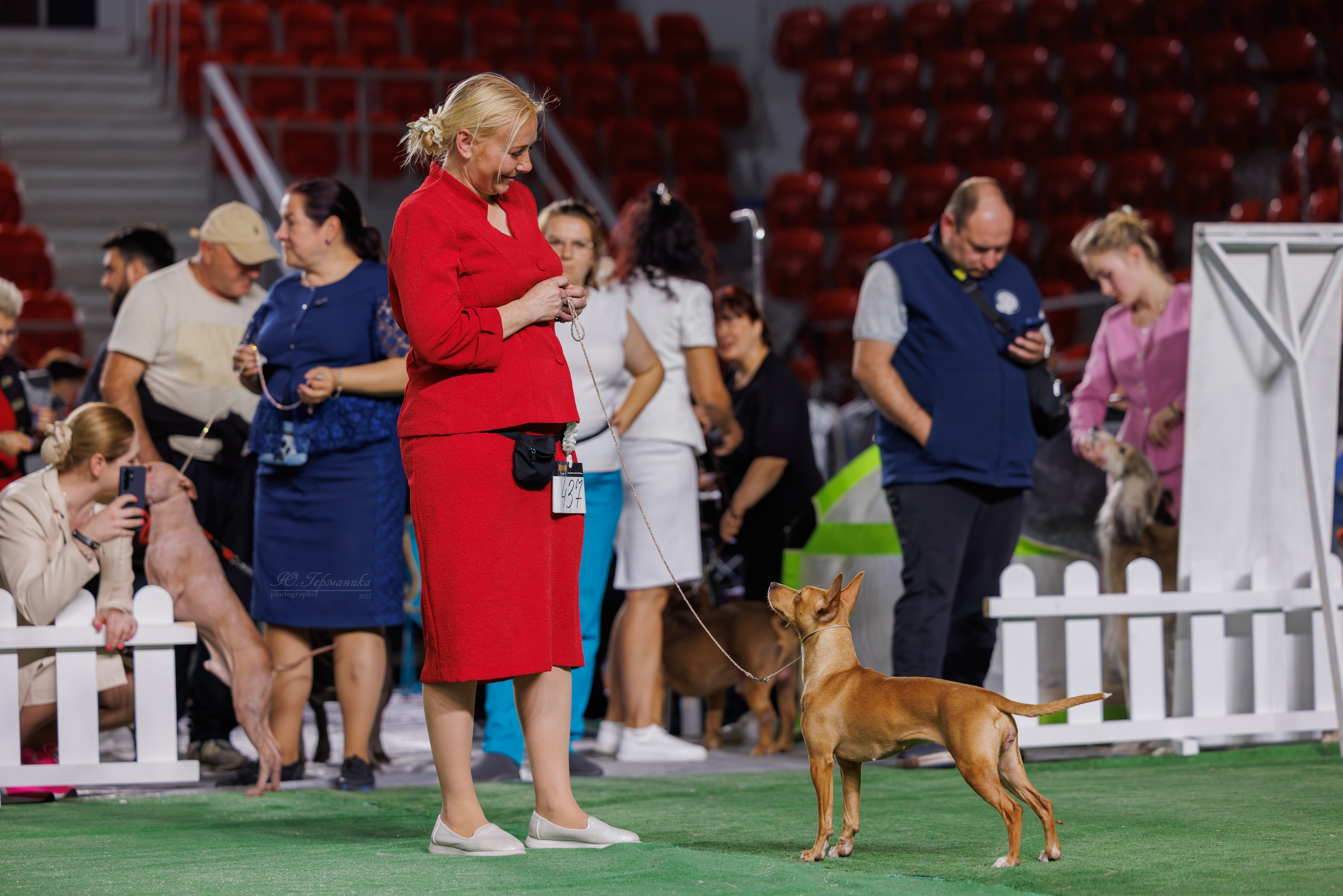 Телави 11-12.10.2025. Фотограф-анималист Юлия Германика