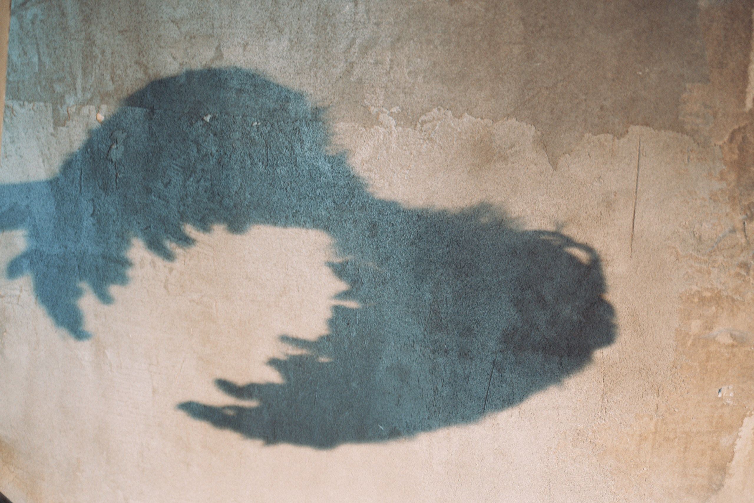 Бренд ВЕШАЛКА. Репортажный фотограф Анастасия Головко