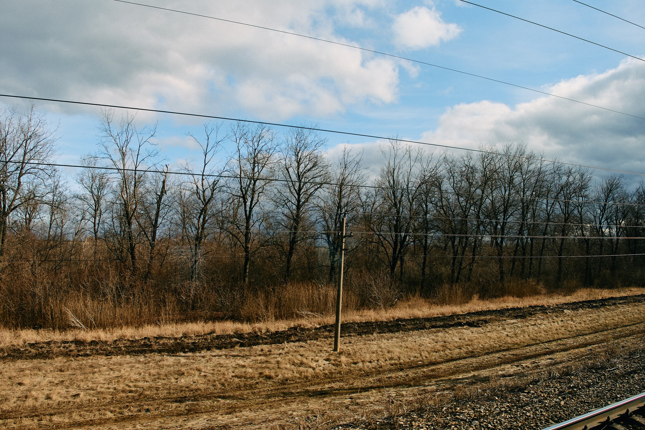 Юг России. Профессиональный Фотограф во Владимире, в Москве и в Суздале — Полина Романычева