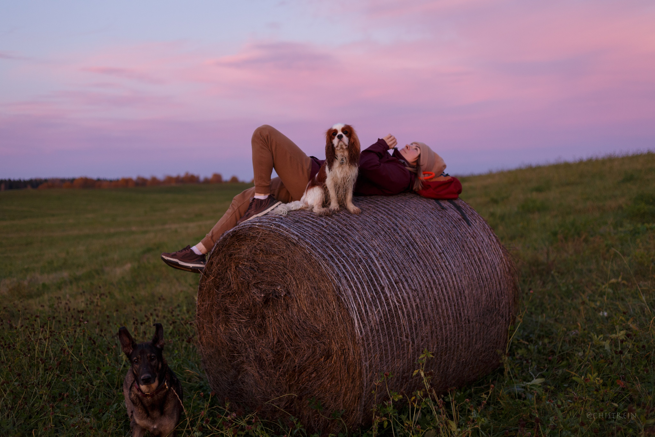 Октябрьский закат в полях. Алина и Лео. Фотограф-анималист Наталия Чистюхина в г. Сосновый Бор и ЛО
