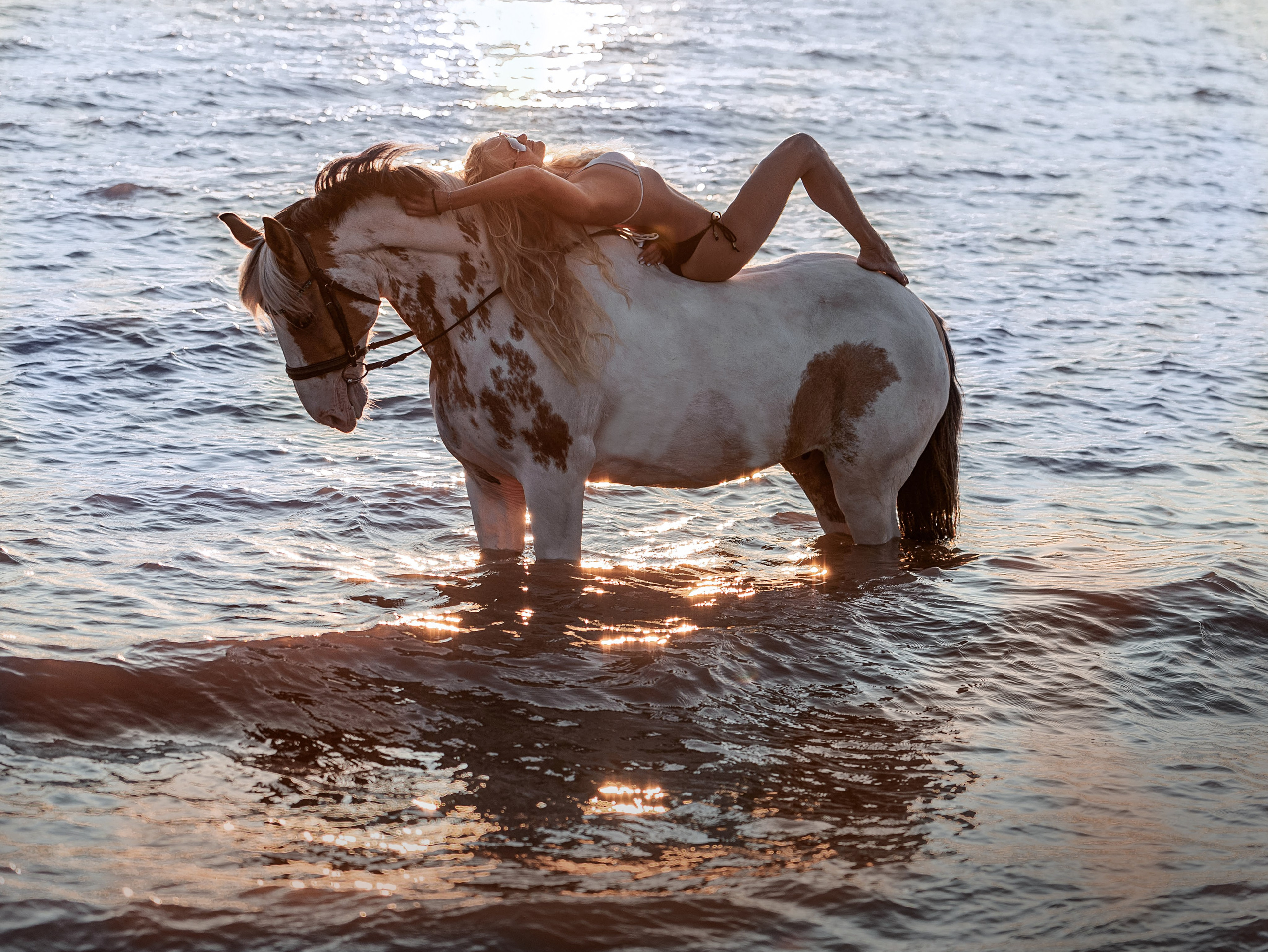 Съемки в воде 2025. Конный фотограф в Красноярске — Любовь Похабова