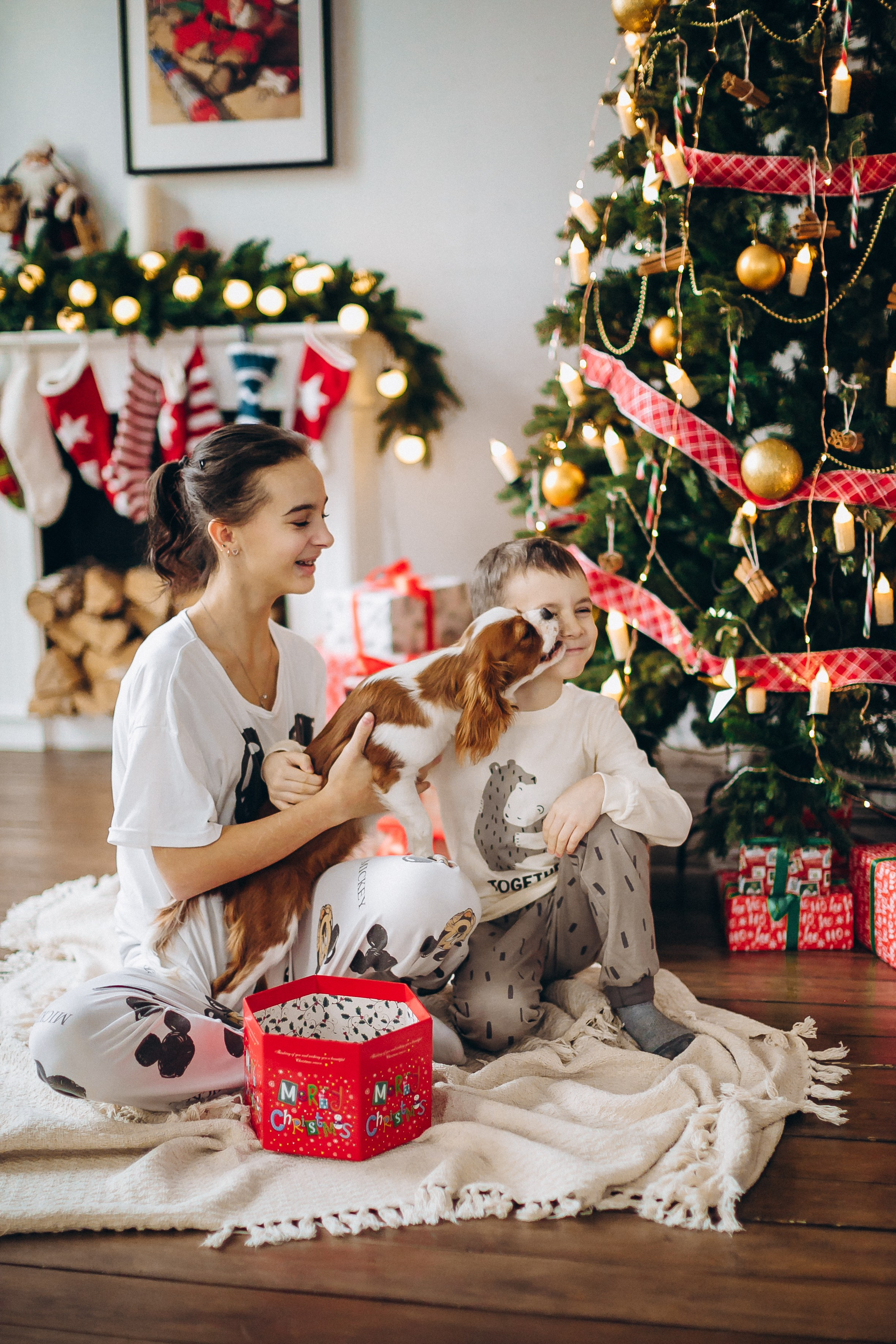 Новогодние фотосессии. Семейный, детский и школьный фотограф в Москве Рудницкая Анна