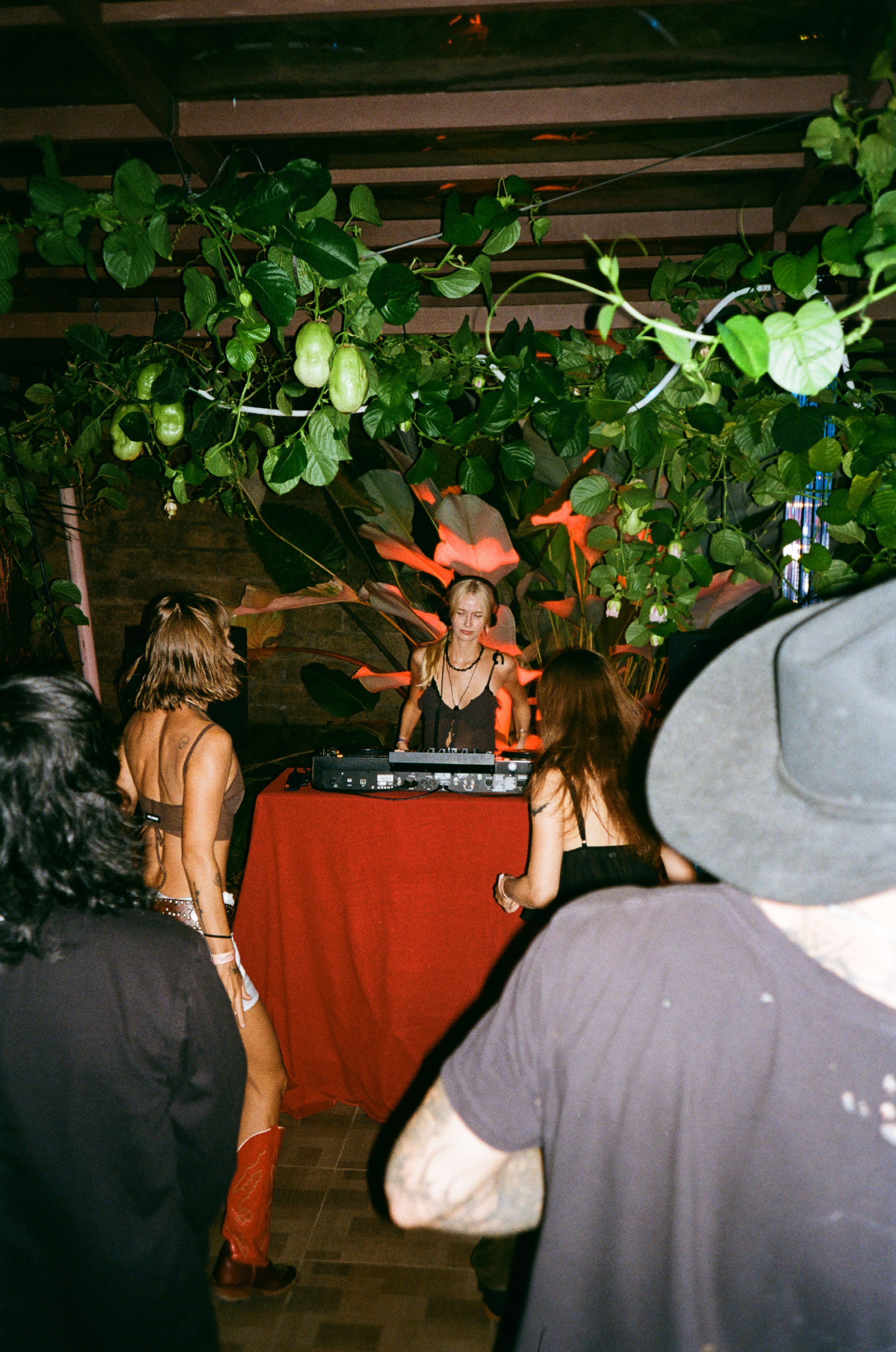 Radiocultura bali on film. Главная