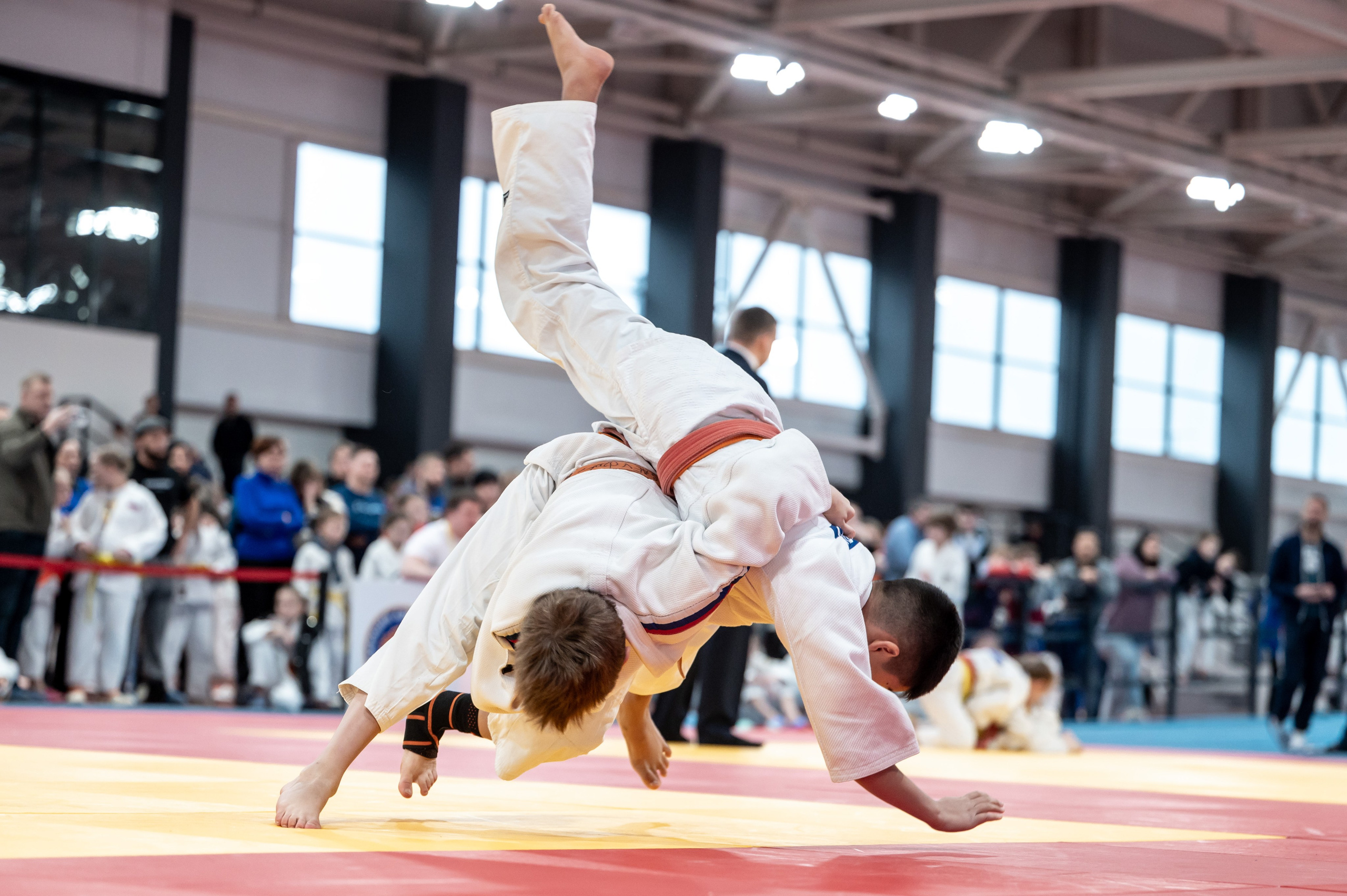Новогодний турнир по дзюдо. Январь 2024. Спортивный фотограф в Туле и Тульской области. Файсханова Фото Спорт