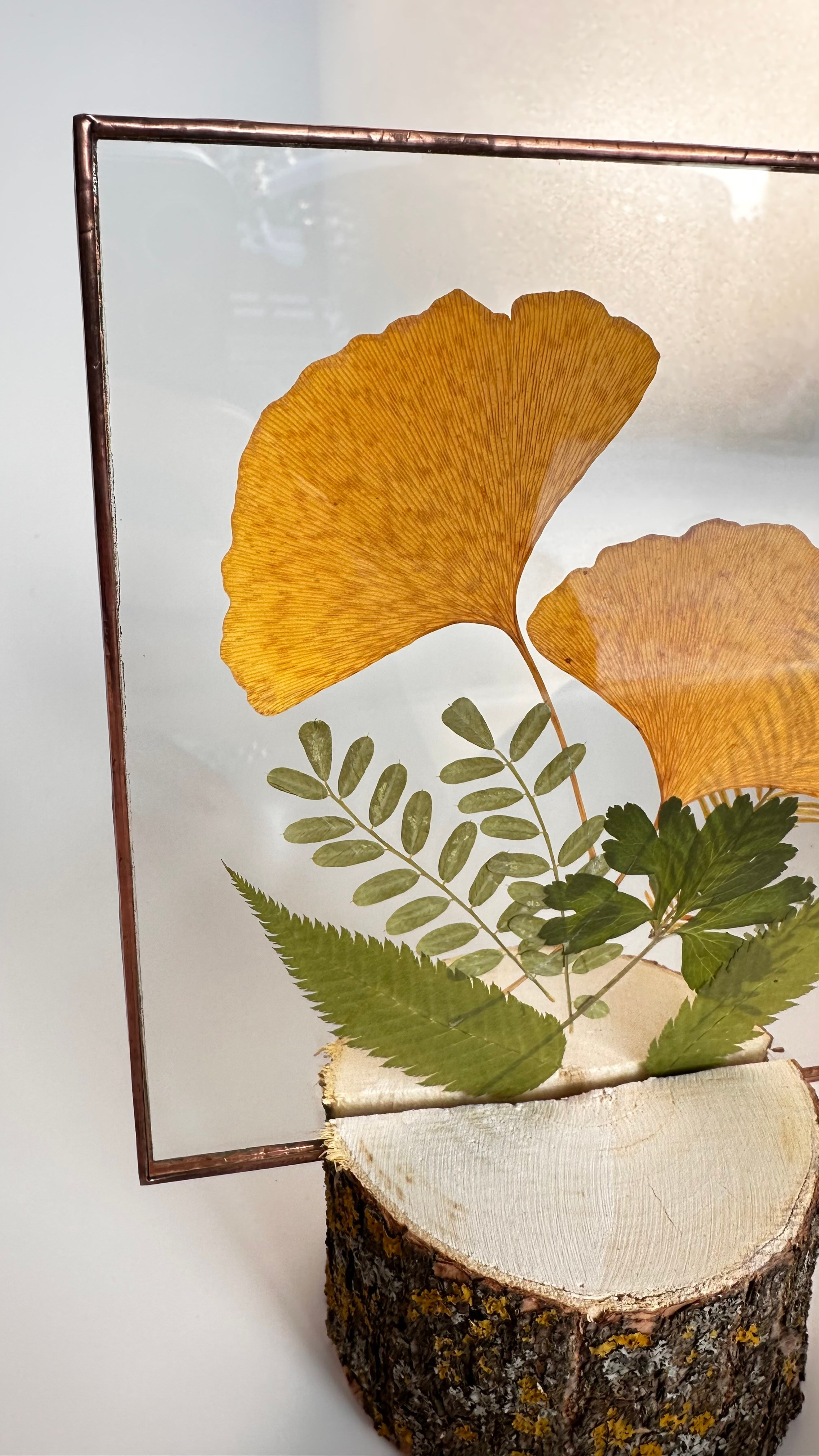 Гербарий в стекле с сухоцветами (витраж в технике тиффани). Гербарий в стекле, интерьерные панно, витражи с сухоцветами в технике тиффани