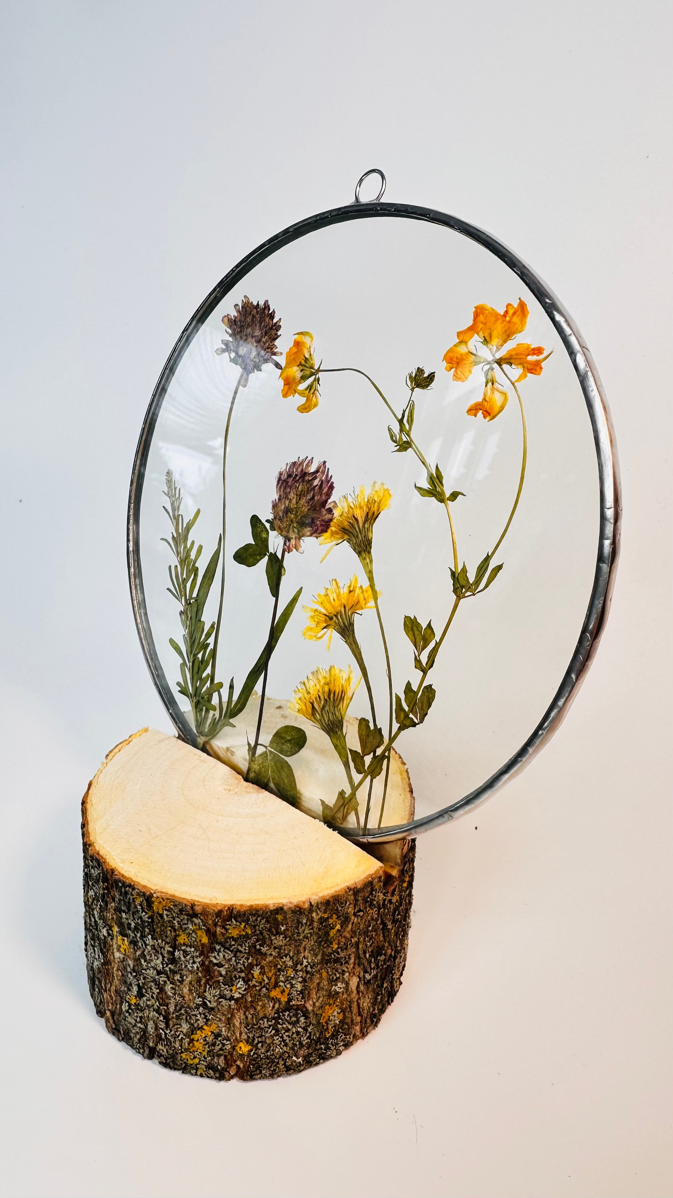 Гербарий в стекле с сухоцветами (витраж в технике тиффани). Гербарий в стекле, интерьерные панно, витражи с сухоцветами в технике тиффани