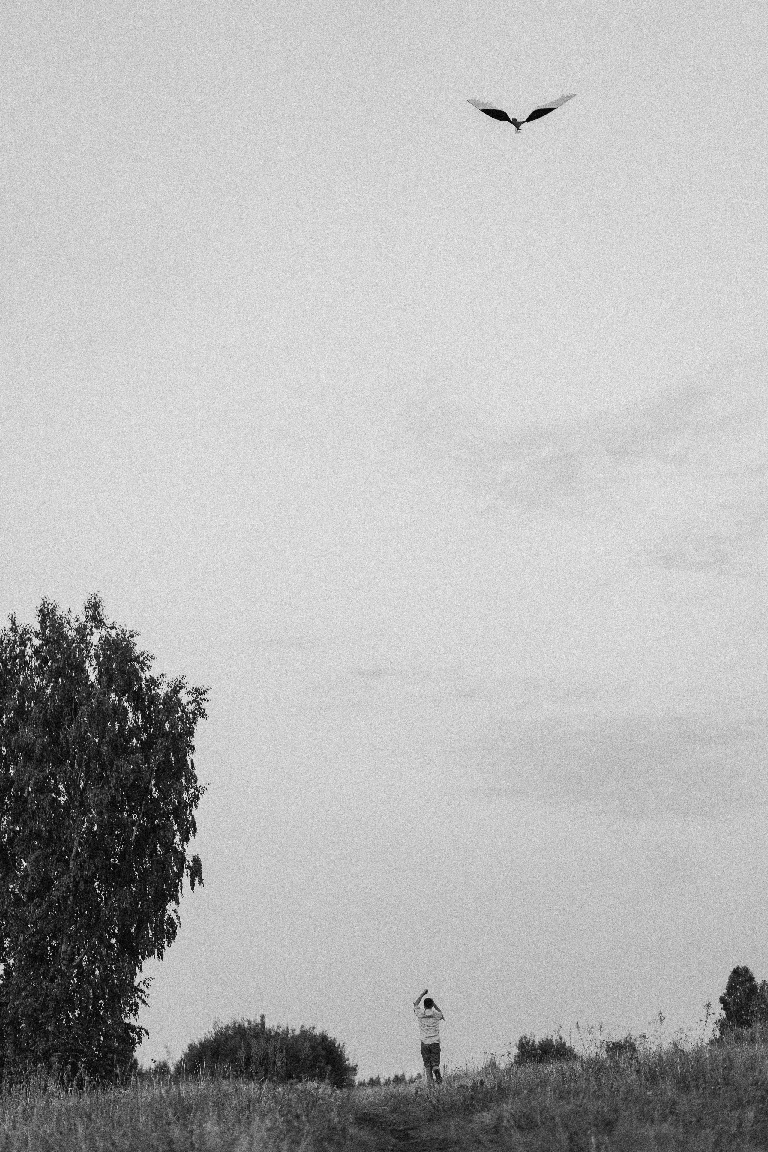 Летние поля. Семейный фотограф в Челябинске Волченко Ксения