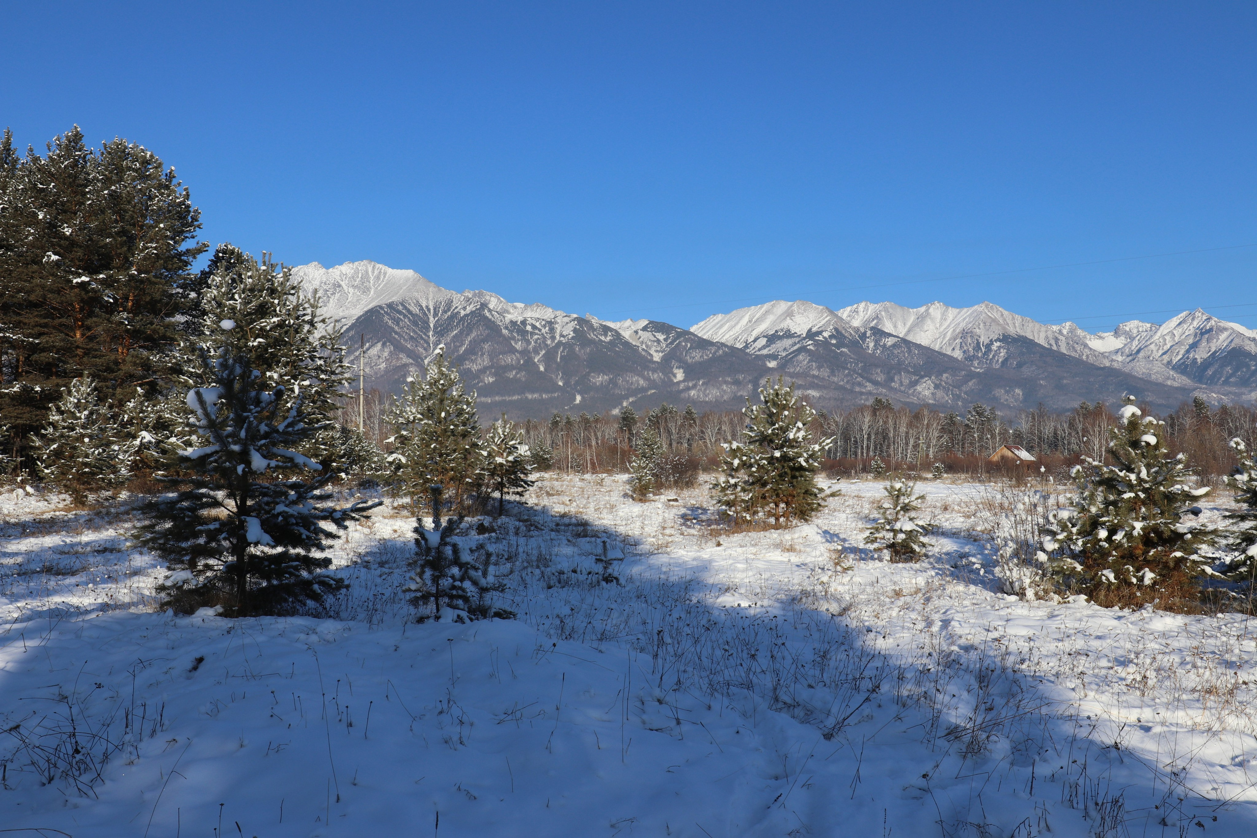 Аршан. Январь 2022. Путешественник-фотограф из Санкт-Петербурга Татьяна Свистулина