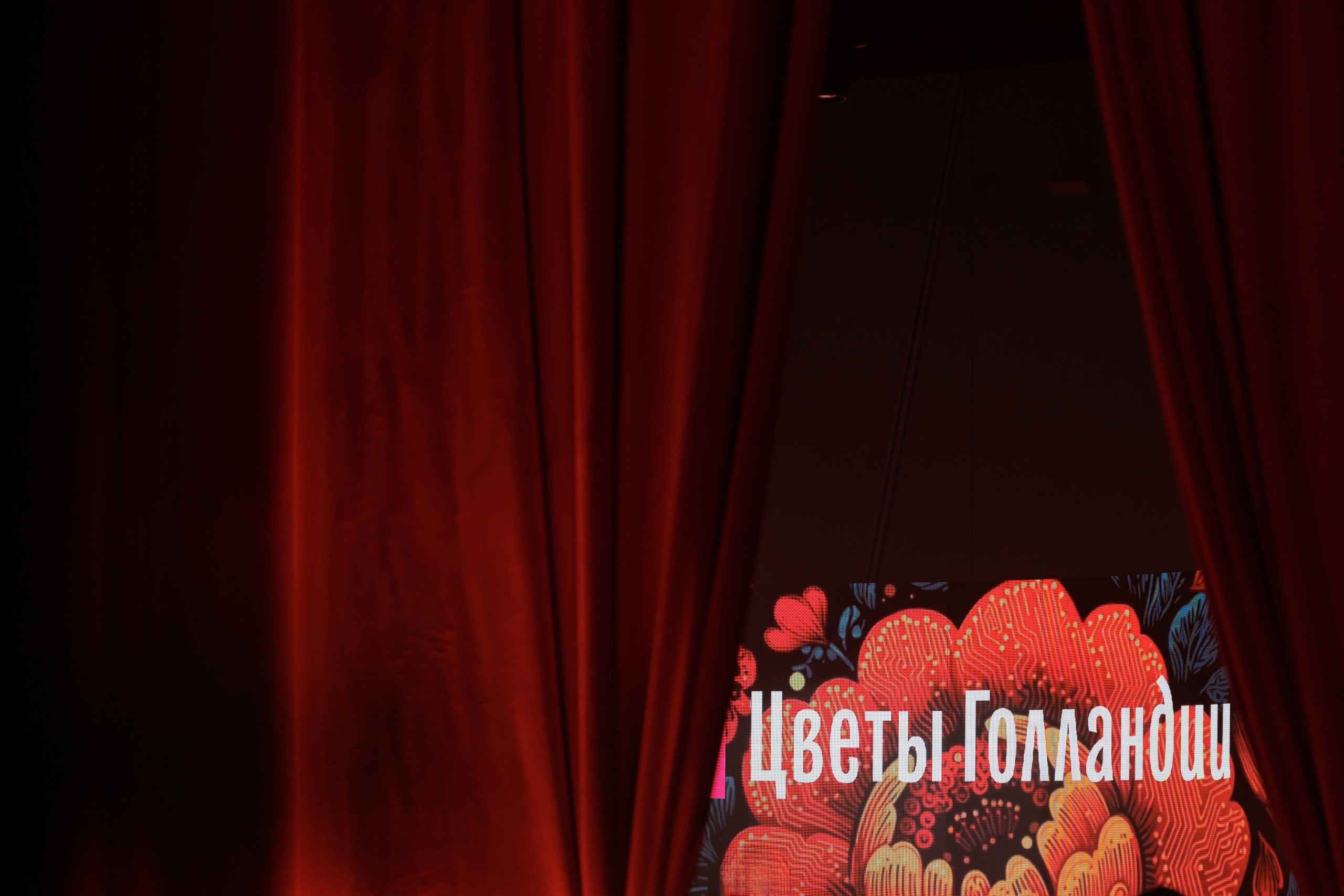 ЦВЕТЫ ГОЛЛАНДИИ. Свадебный фотограф Калининград