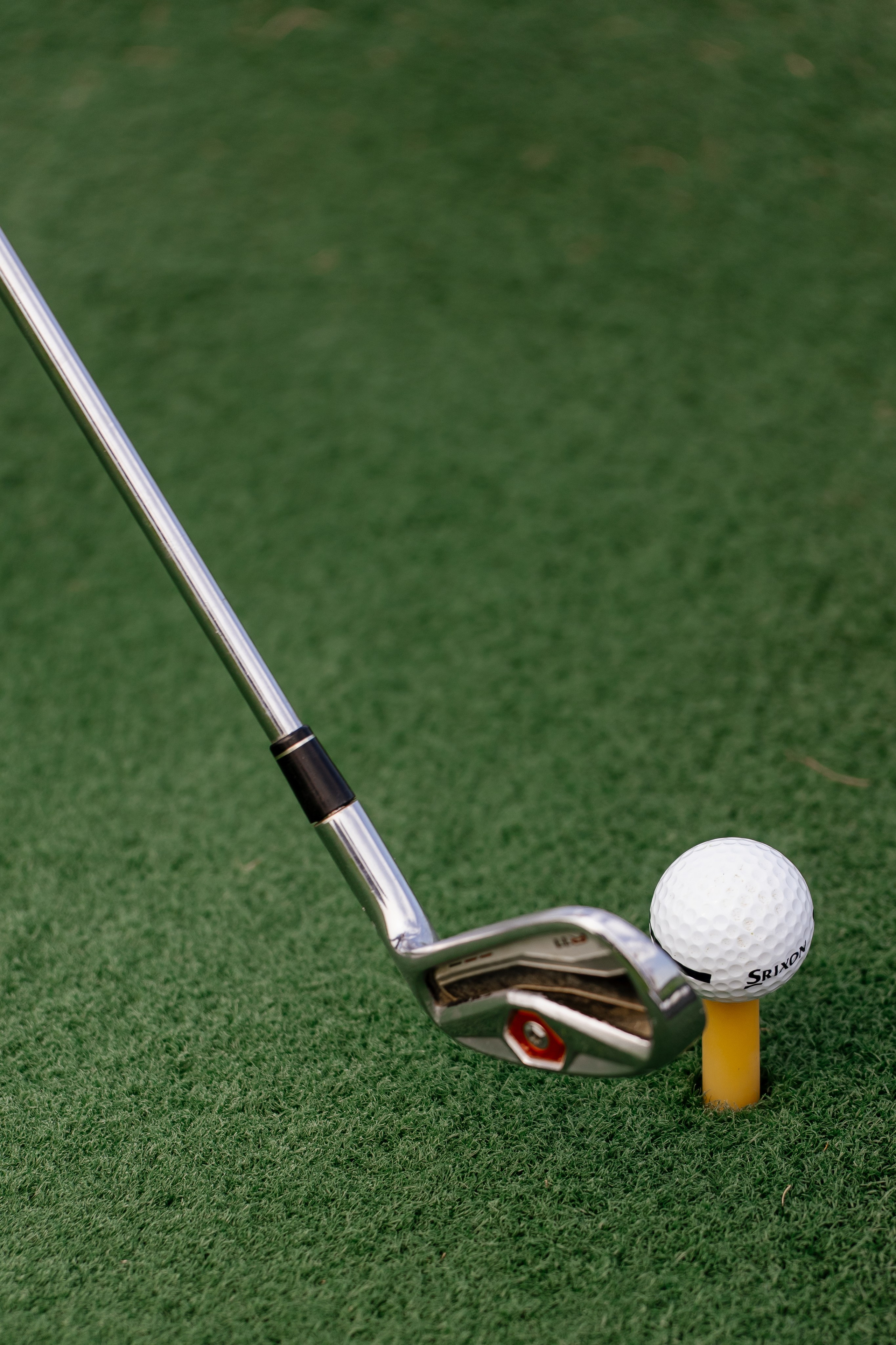 Skynet, Gorki golf club. Андрей Сухинин репортажный свадебный фотограф Санкт-Петербург