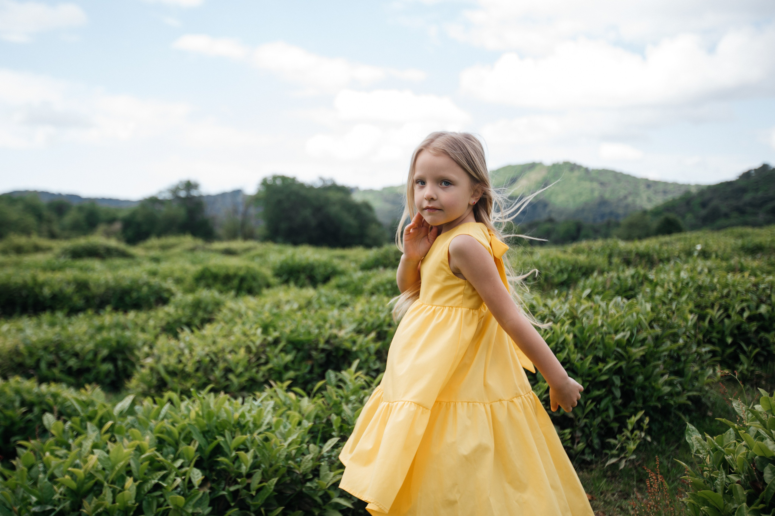 Tea plantation. Efimova Model Agency