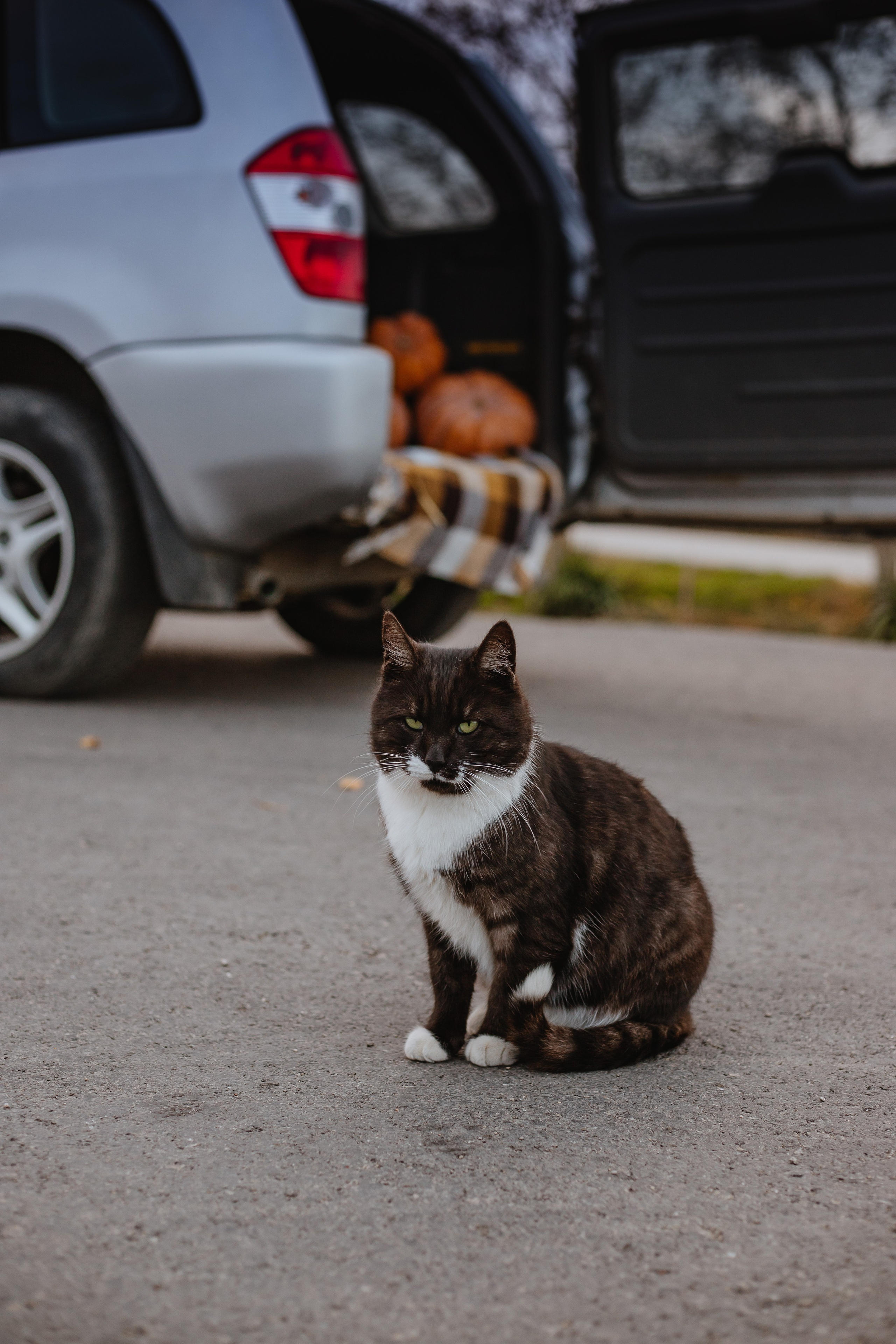 Любовь в Керчи. Фотограф Алиса Субботина