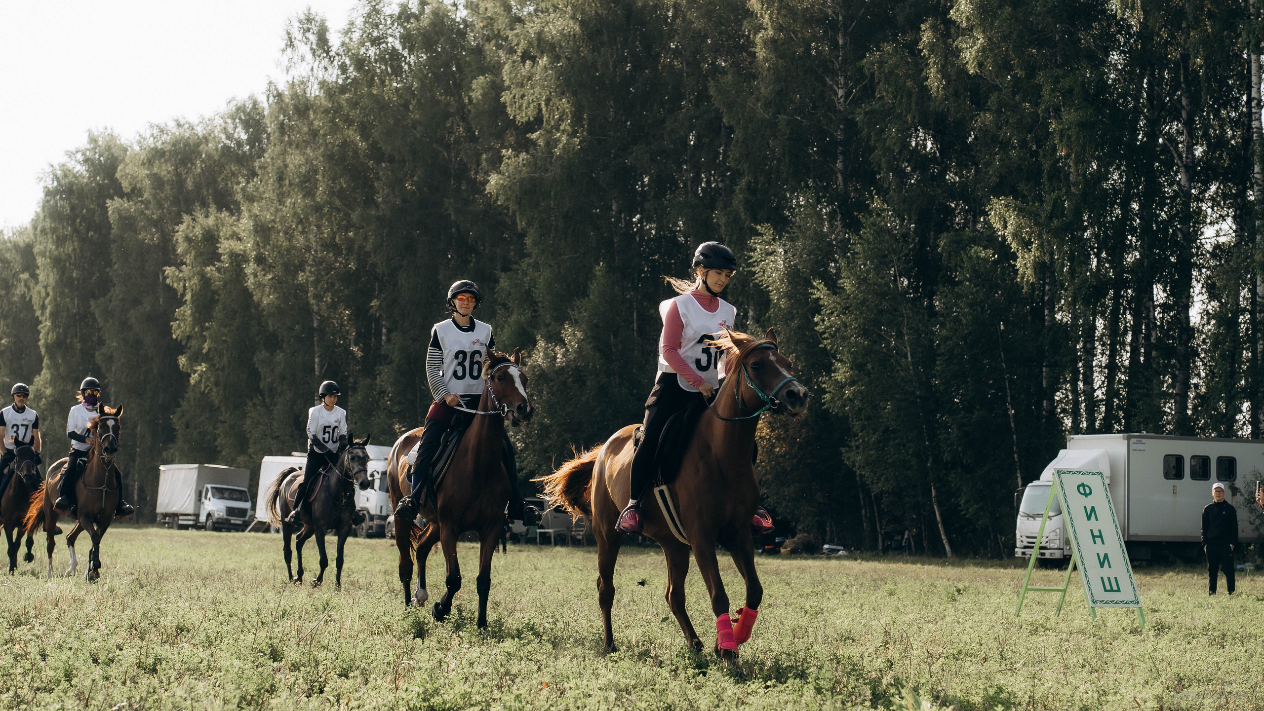 День Коня. Алиса Никитцова | Фотограф в Казани