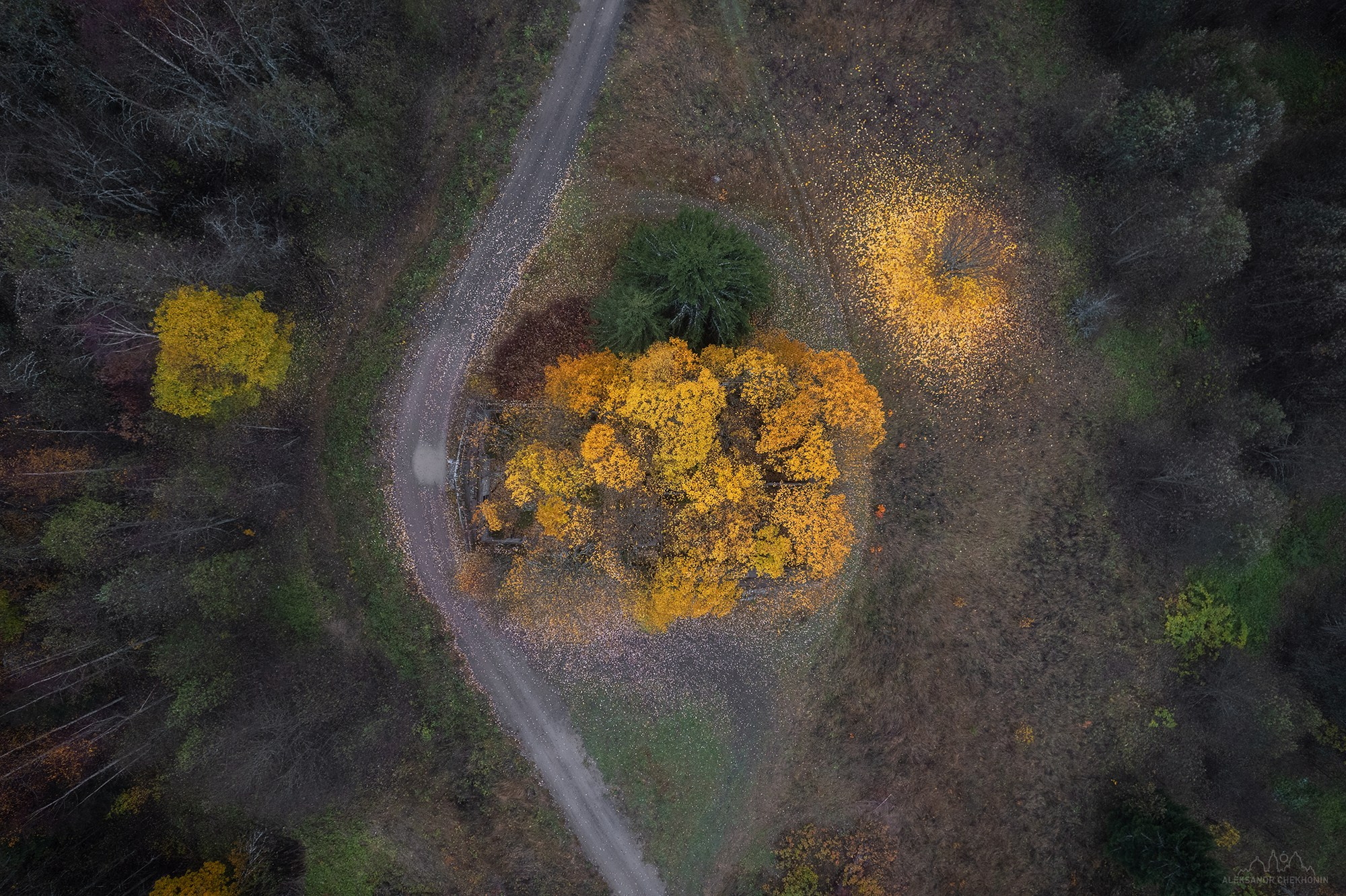Дом под покровом осени. Пейзажный фотограф Александр Чехонин