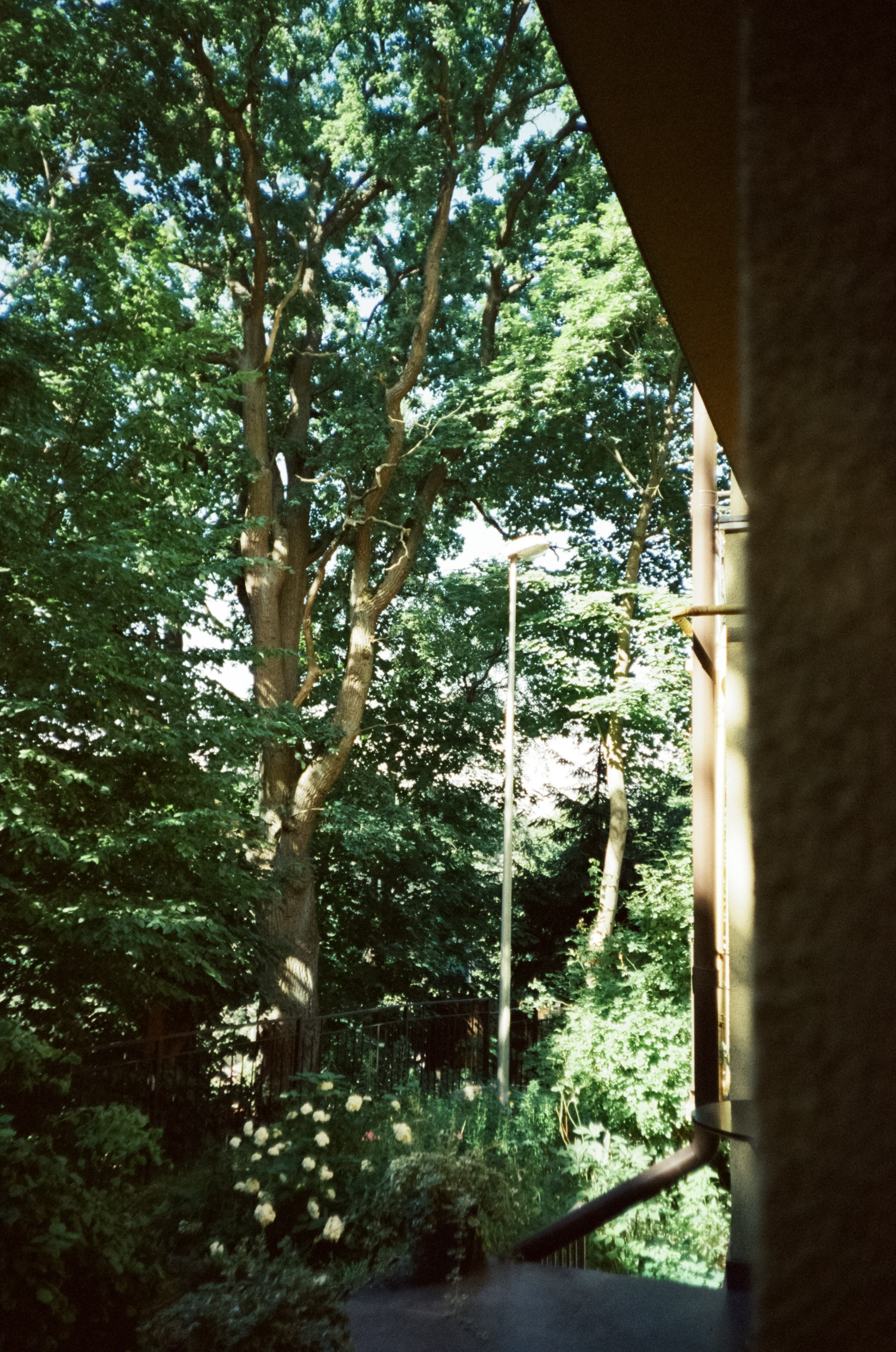 Прогулка по улочкам и дворикам Зеленорадска. Фотограф-документалист Мария Осокина