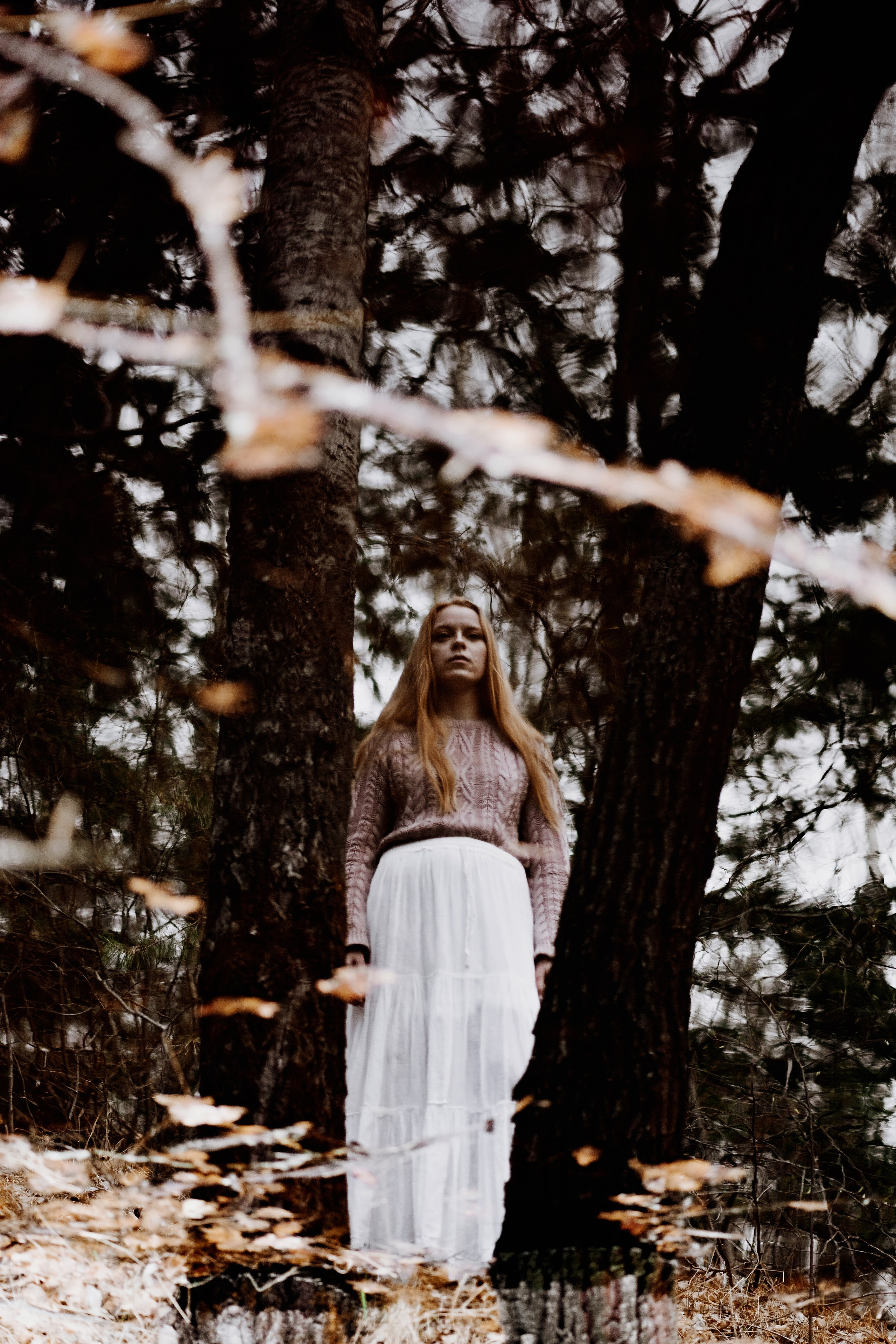 Волшебный лес. Фотограф в Нижнем Новгороде Алексей Уковский