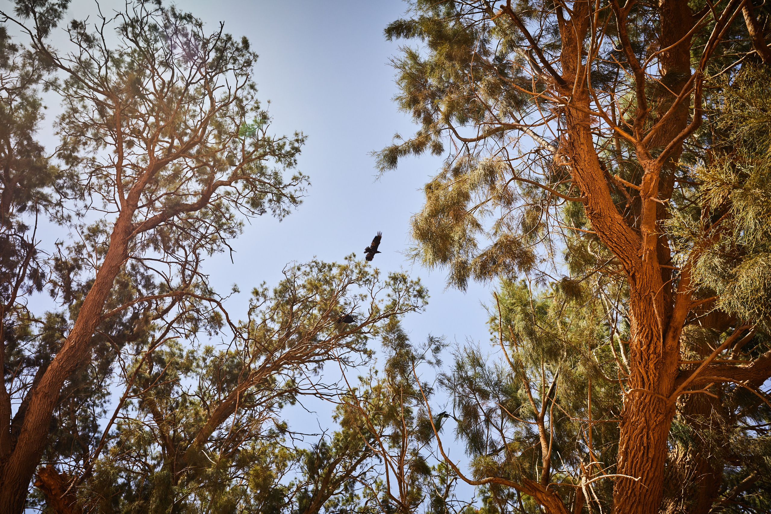 Тунис. Рекламный коммерческий фотограф в Москве Владимир Лукьянов