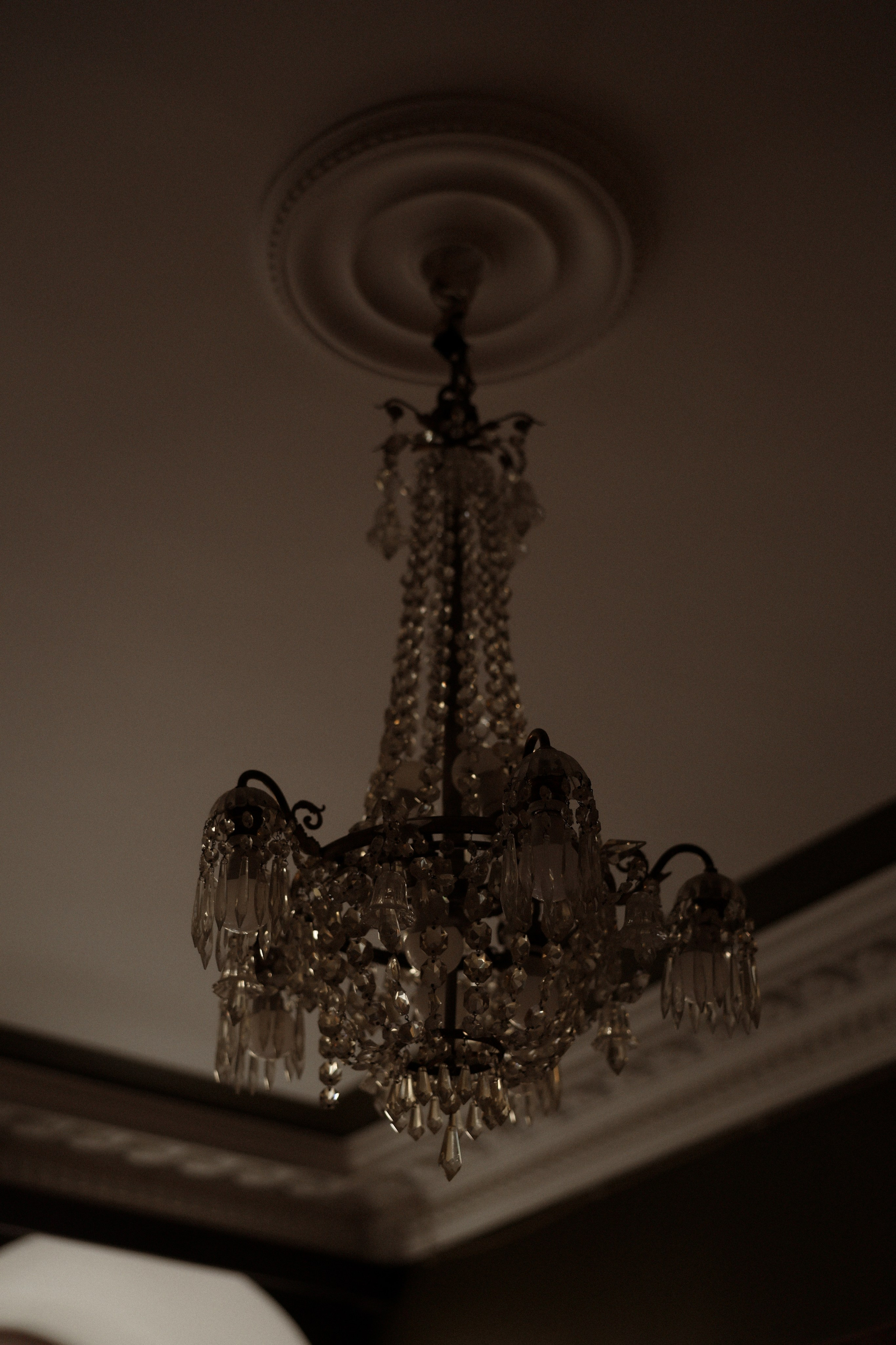 «Слезы счастья!» — Дмитрий и Дарья. Свадебный и семейный фотограф в Москве Ломова Ирина