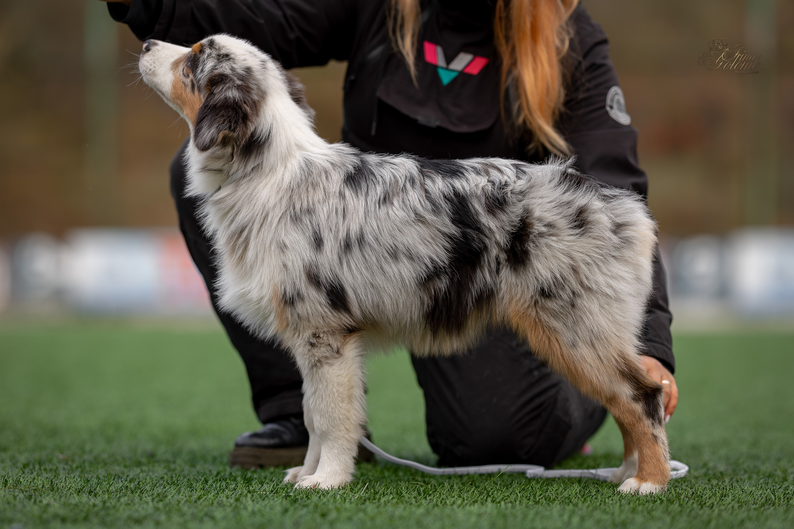 Выставка 17.12.23. Ирина Голомб|Фотограф-анималист в  Сочи и Калининграде