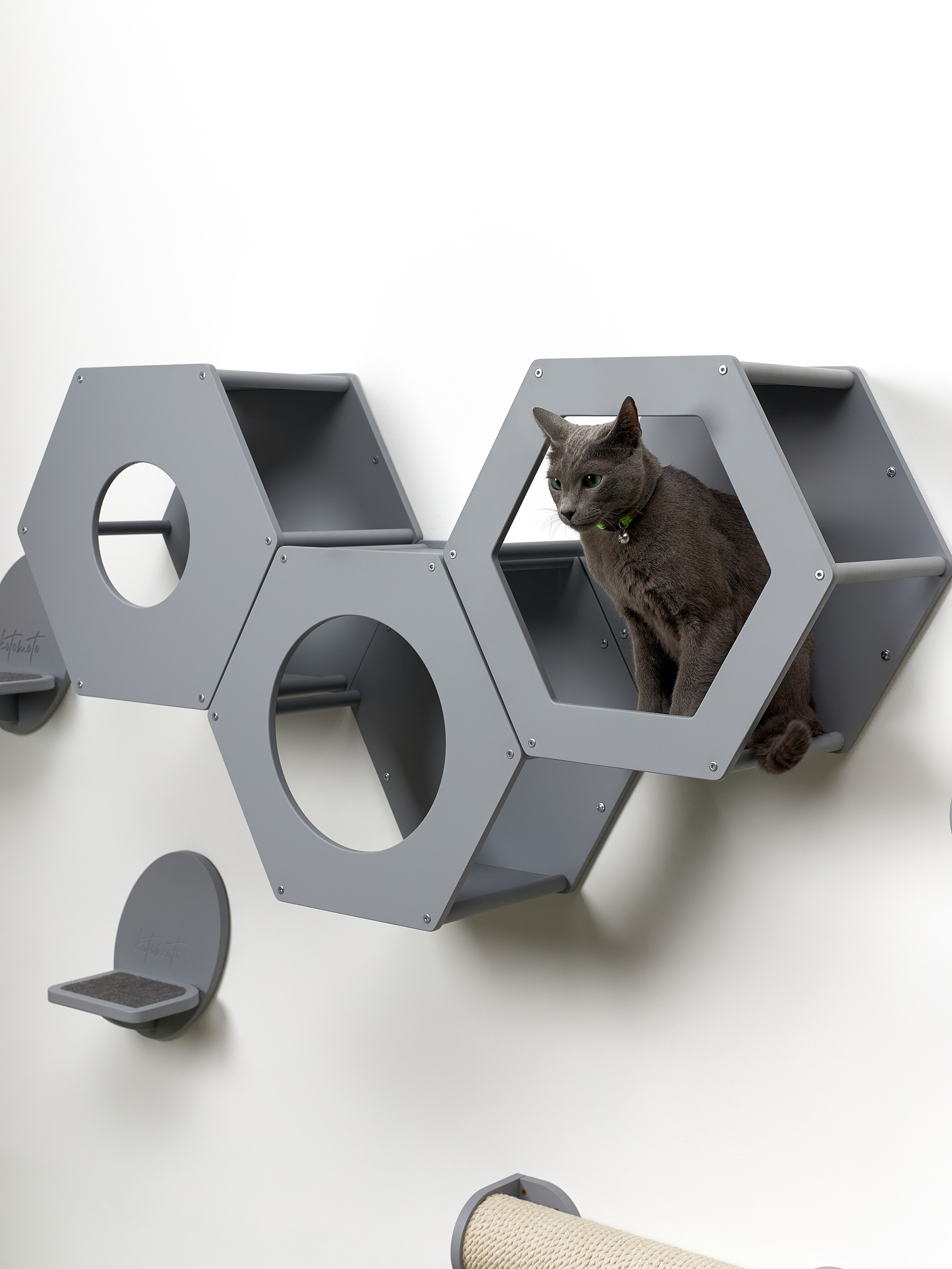 KOTOMOTO. Главная