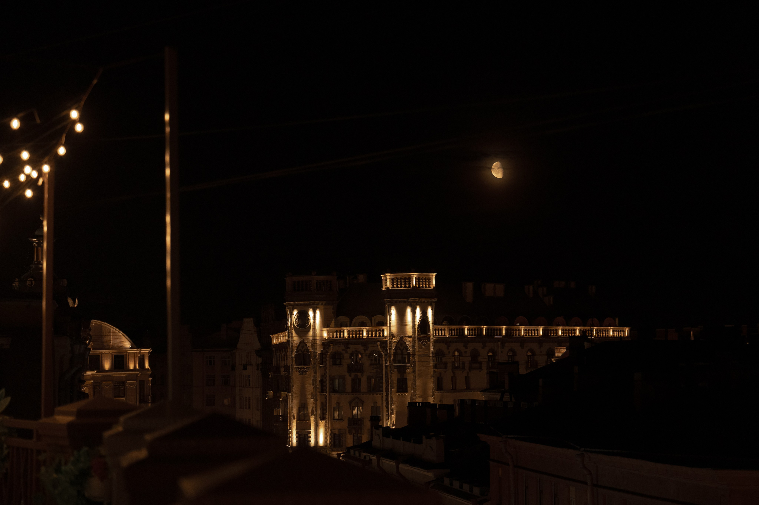 Серая кошка и рыжий кот. Свадебный и семейный фотограф Арина Кулёва