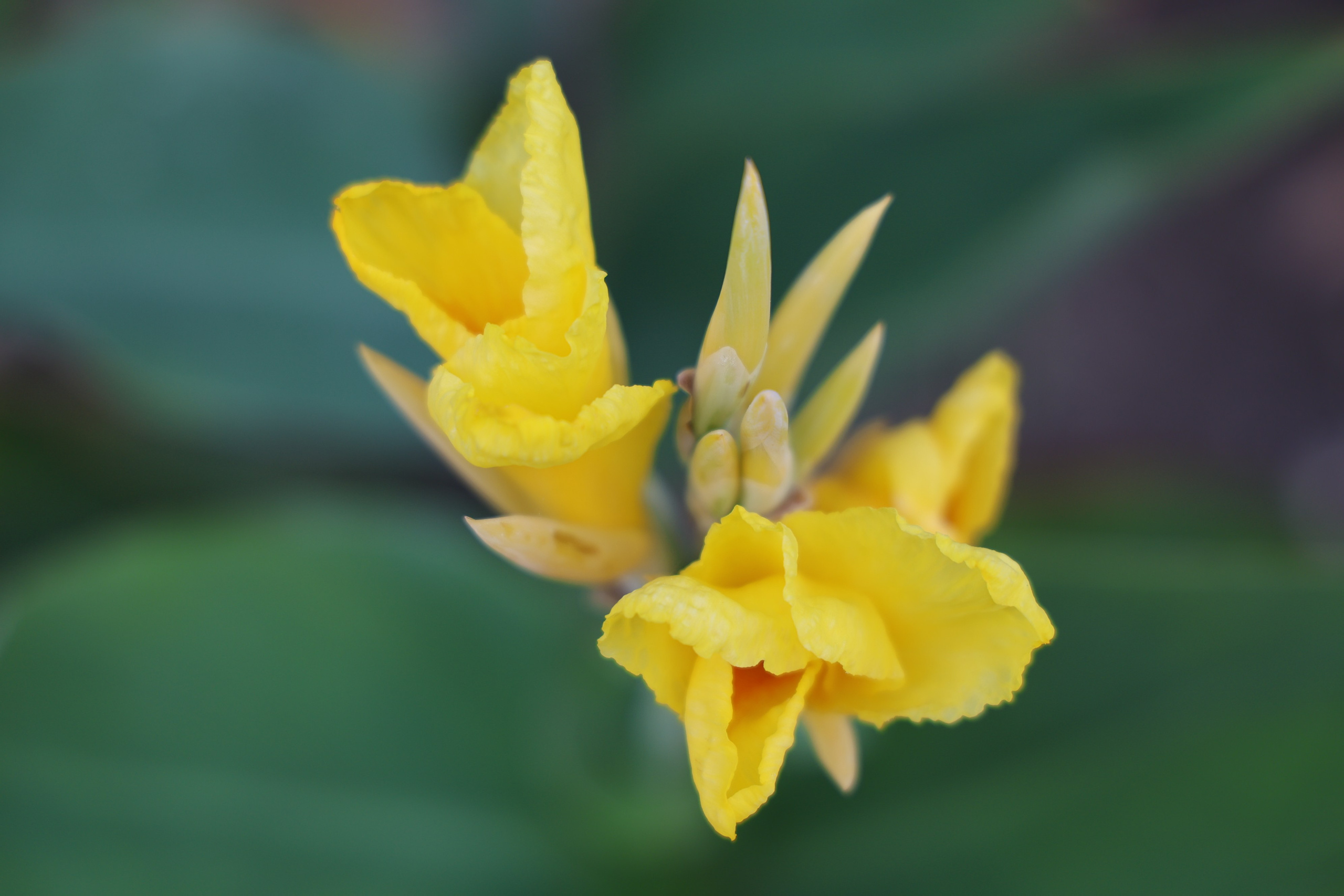 Ставрополец — Оздоровительный пансионат | с. Широкая Балка г. Новороссийск