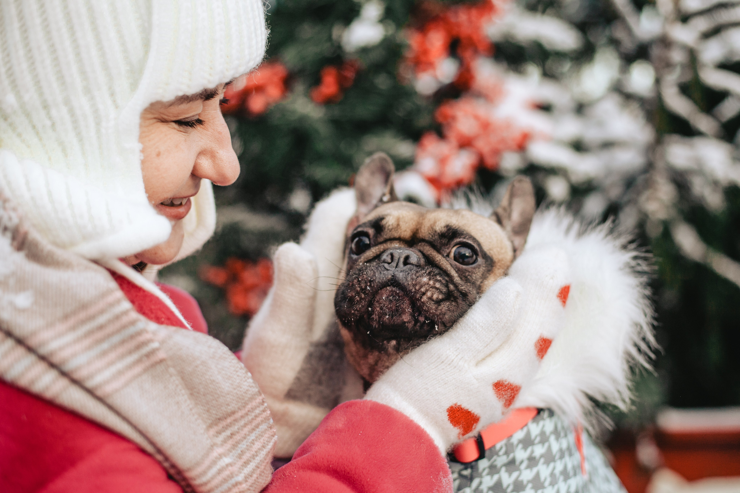 Зингер дача. Фотограф-анималист Татьяна Степанова