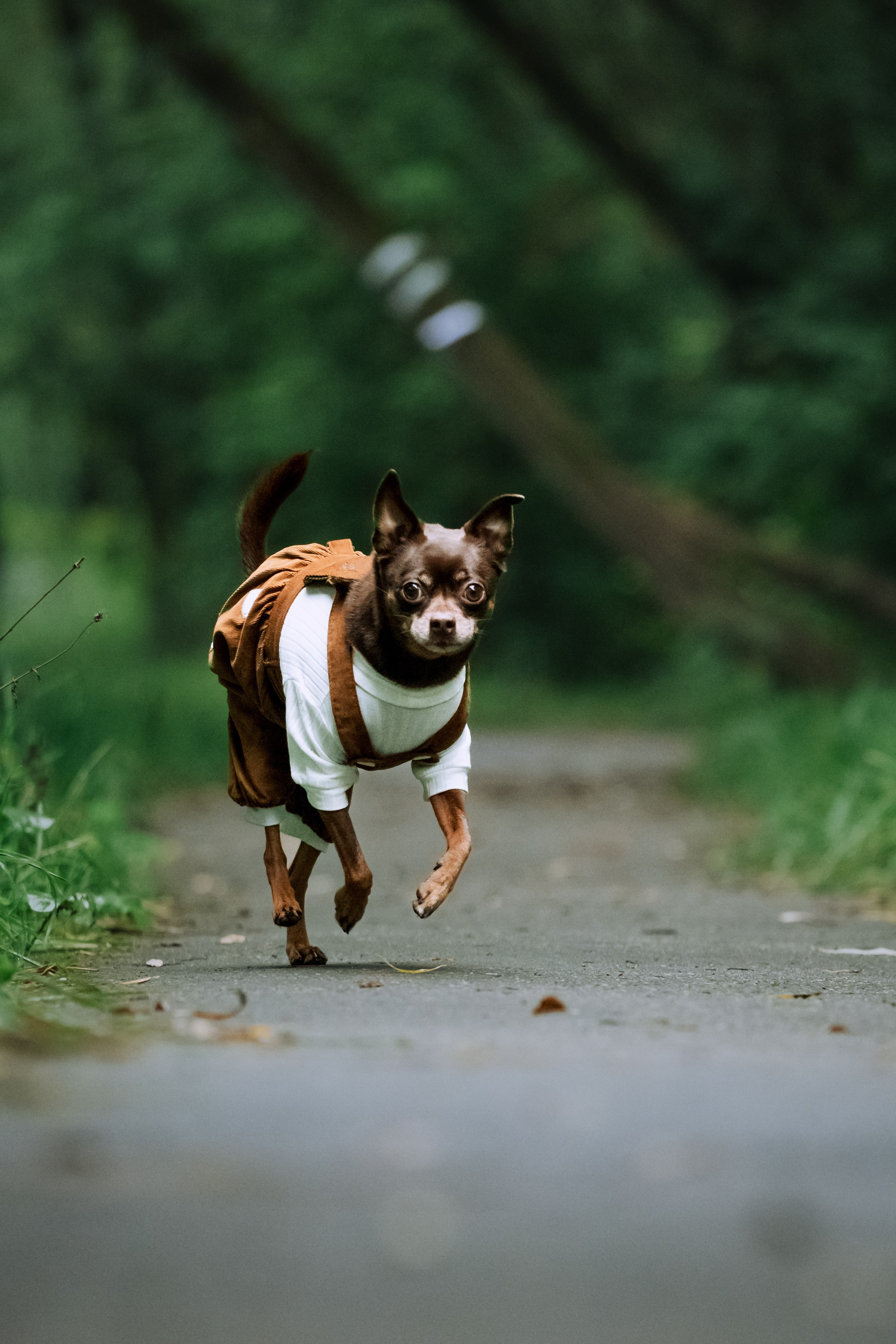 Юля и Леонид. Фотограф-анималист Татьяна Степанова