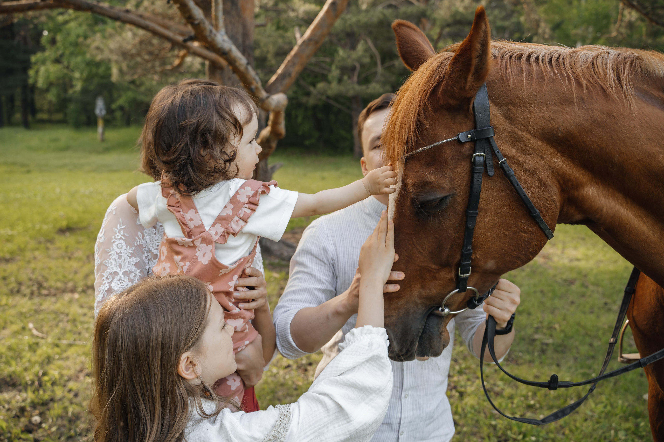 Семейная история с лошадьми. Главная
